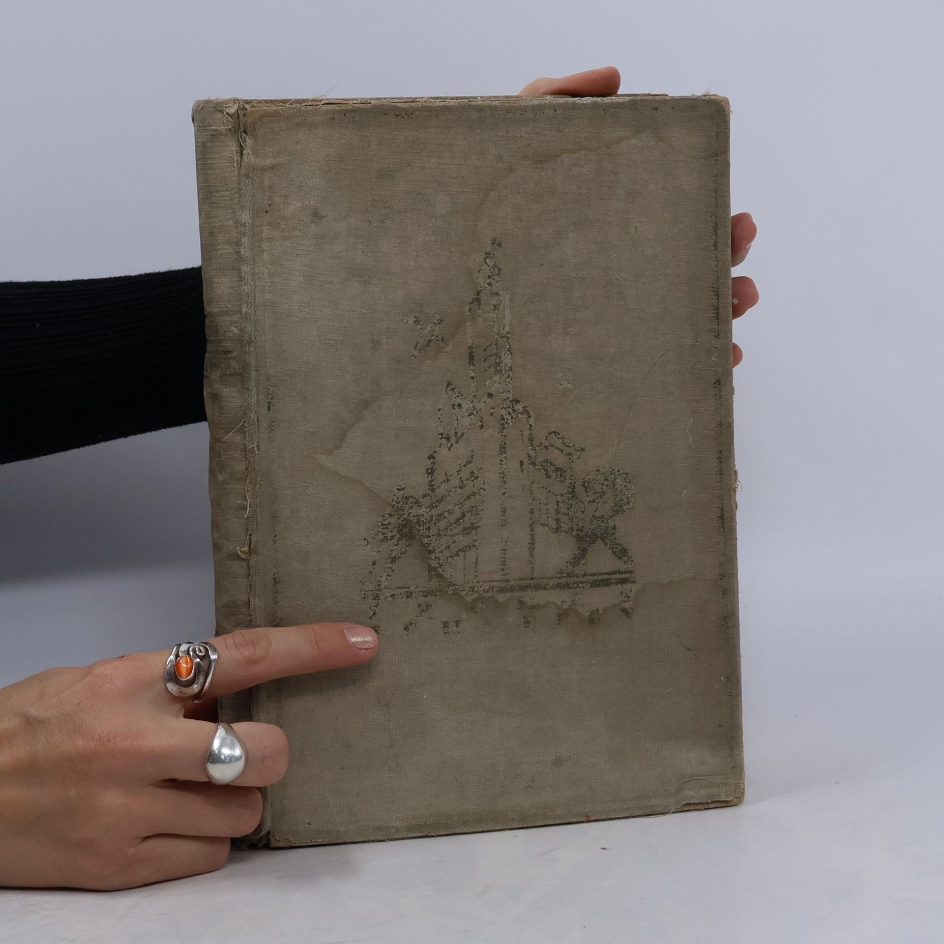 kolektiv Frohes Schaffen. Das Buch für jing und alt