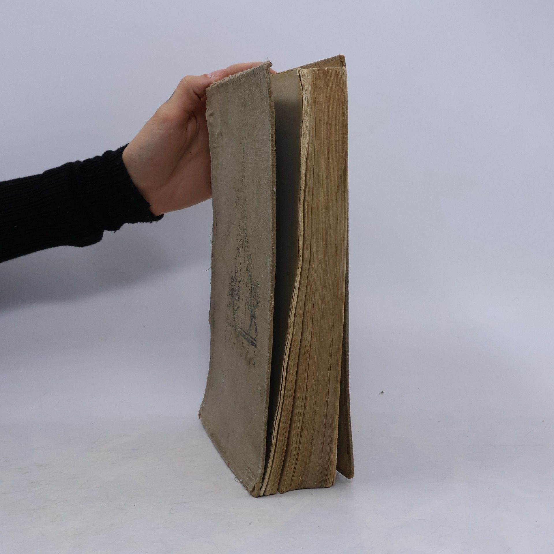 kolektiv Frohes Schaffen. Das Buch für jing und alt