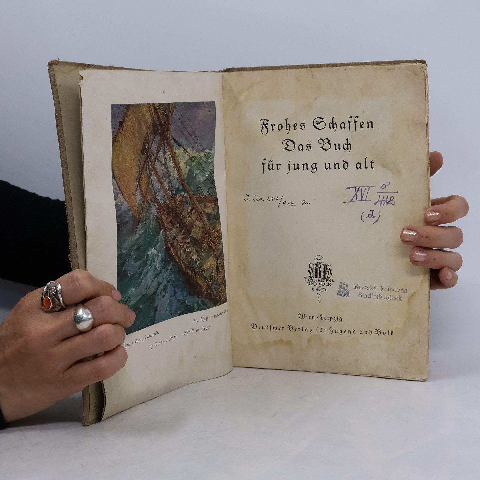 kolektiv Frohes Schaffen. Das Buch für jing und alt