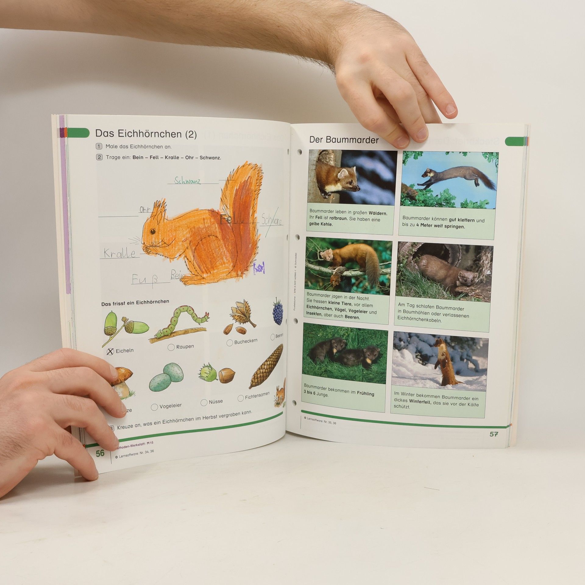 Autorenkollektiv Arbeitsbuch 1 und 2