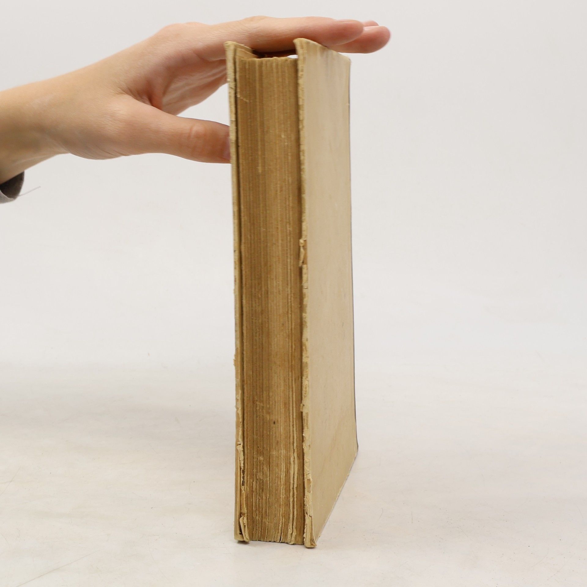 Marianne Lukas Suchende Herzen