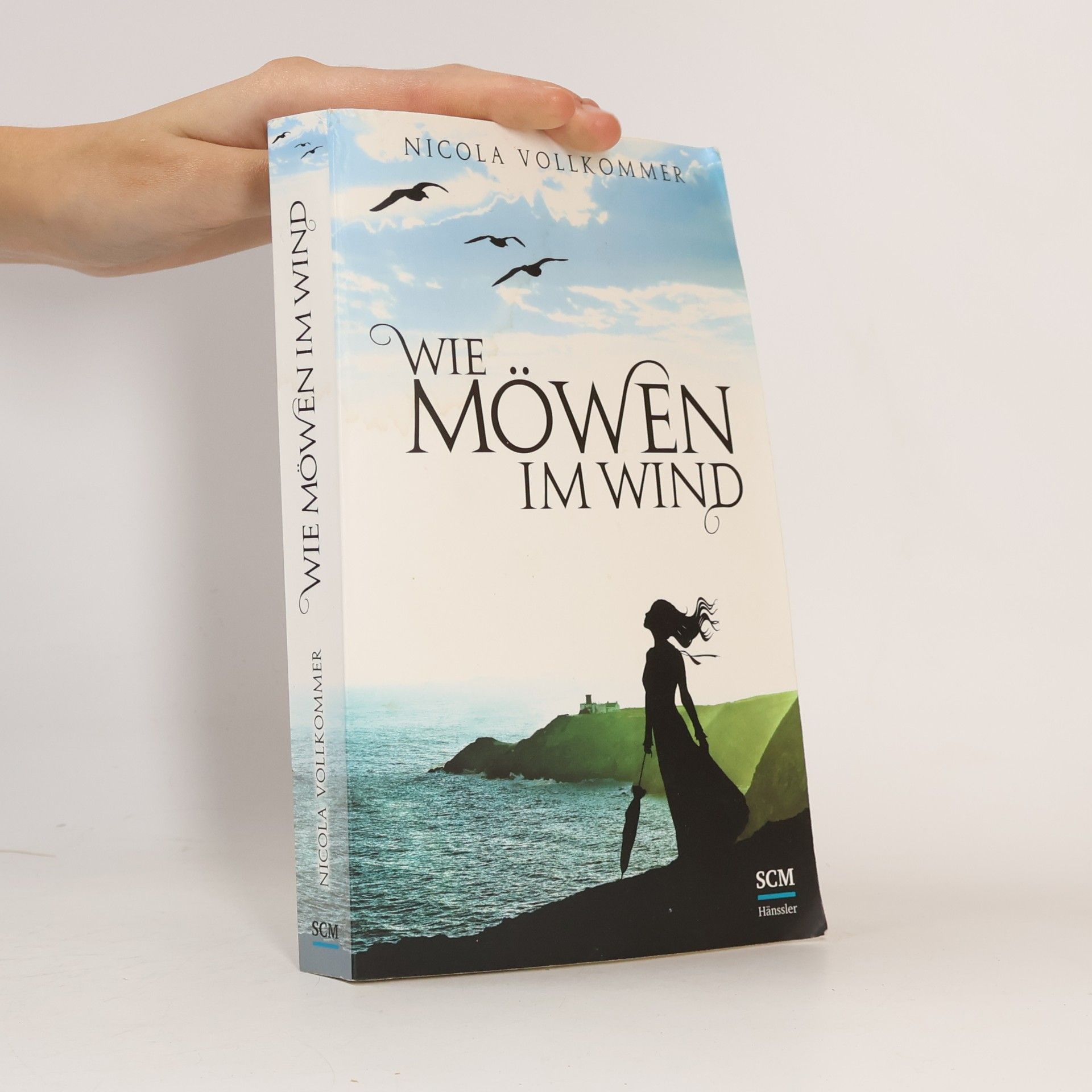 Nicola Vollkommer Wie Möwen im Wind