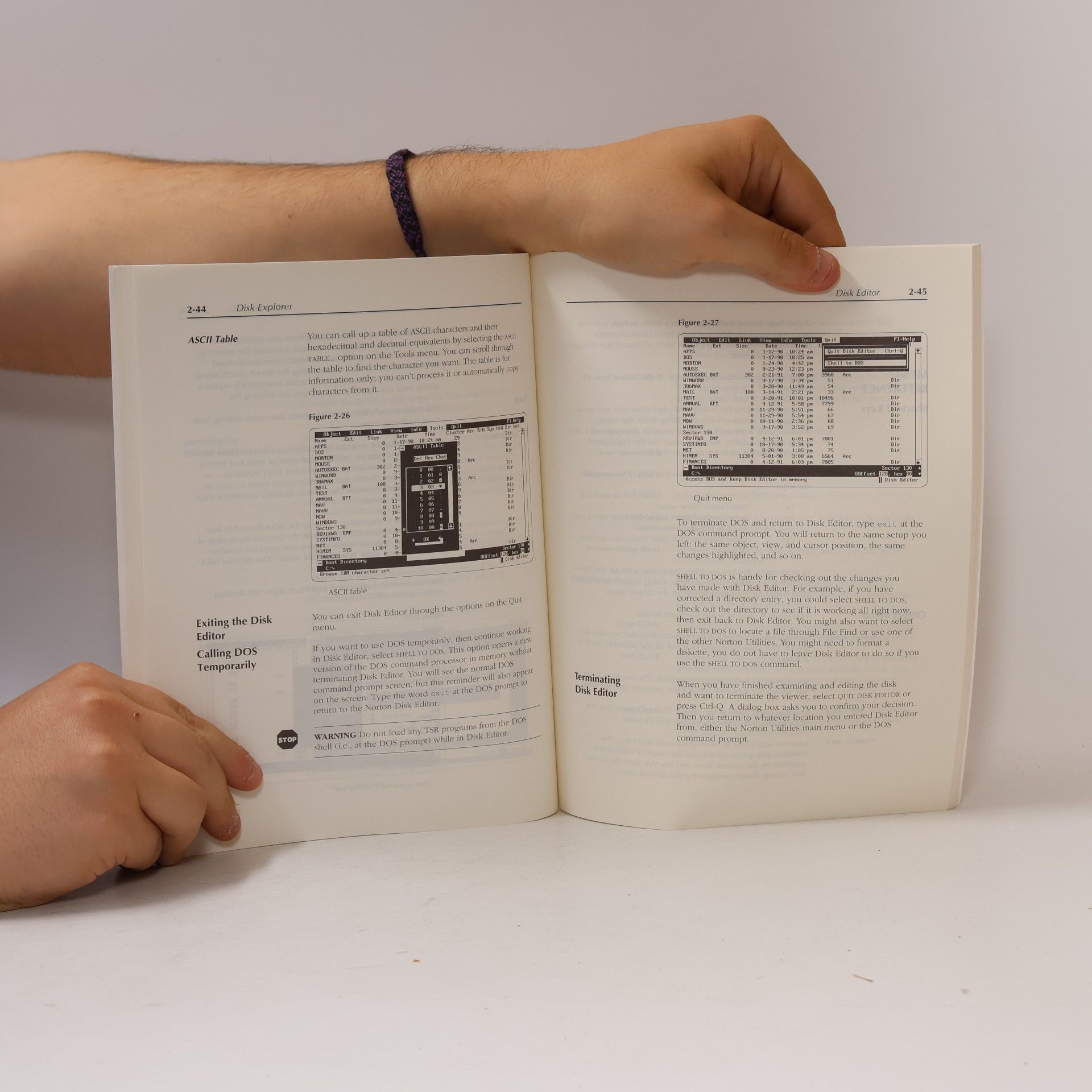 Kolektiv autorů Disk Explorer. The Norton Utilities