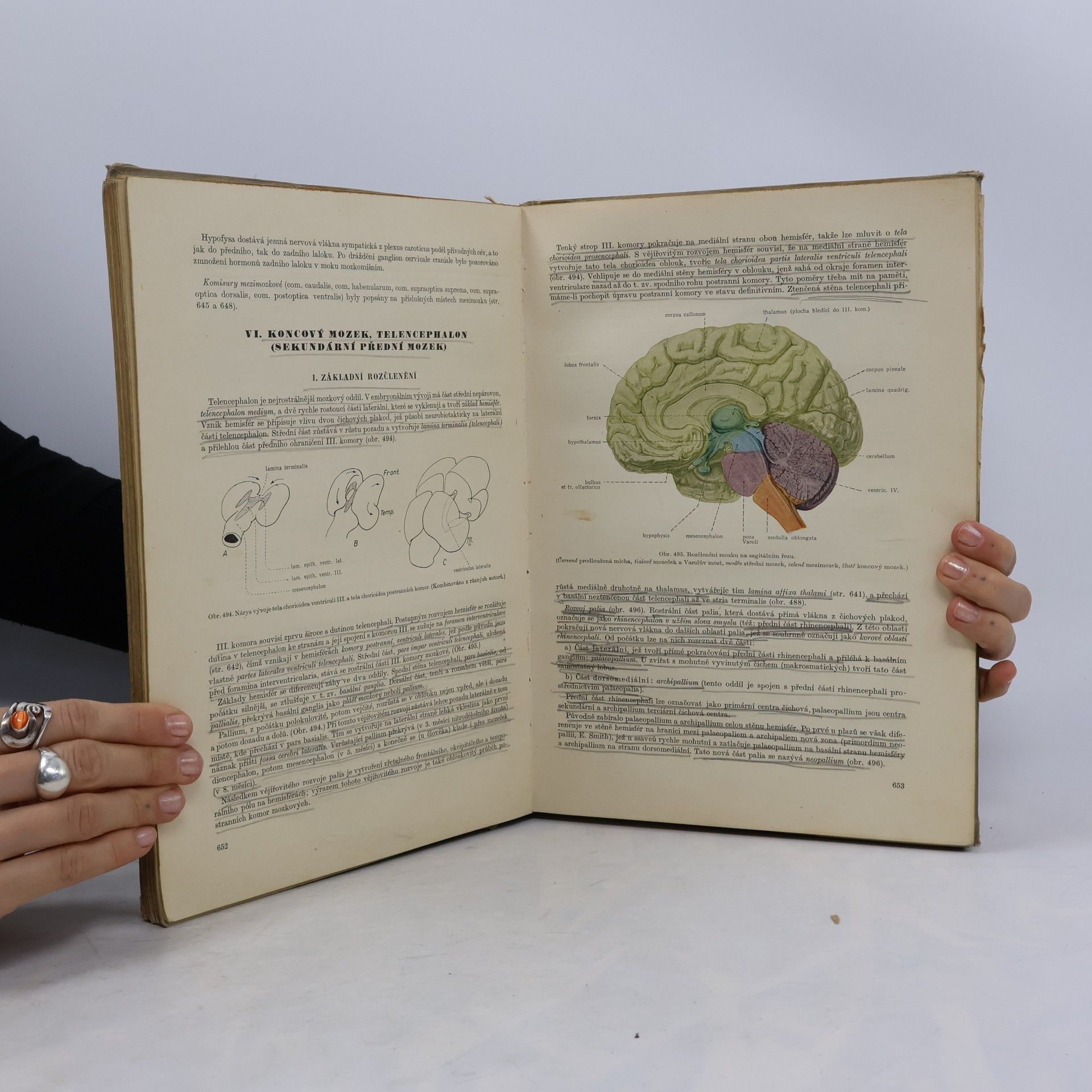 Kolektiv autorů Soustavná anatomie člověka II.