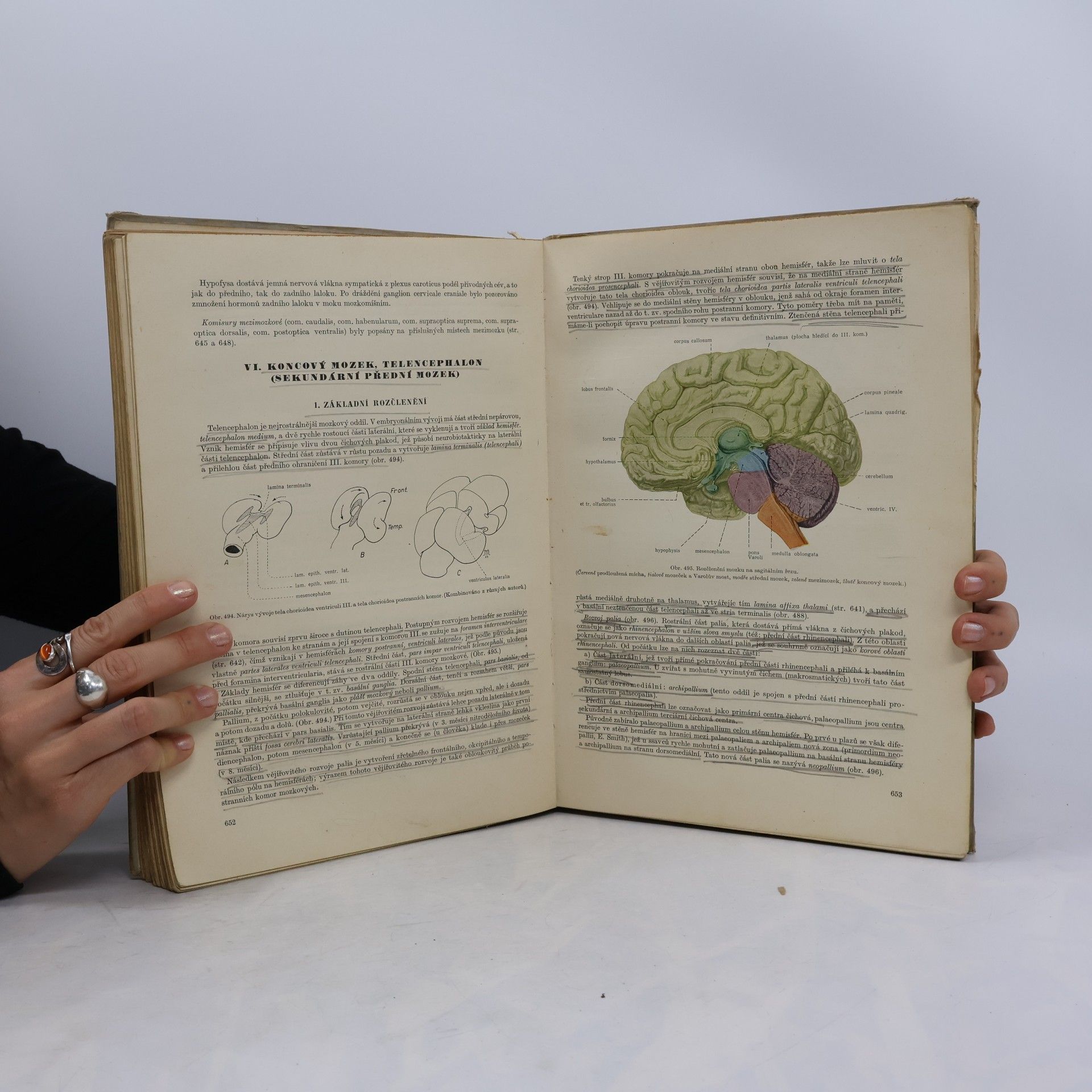 Kolektiv autorů Soustavná anatomie člověka II.