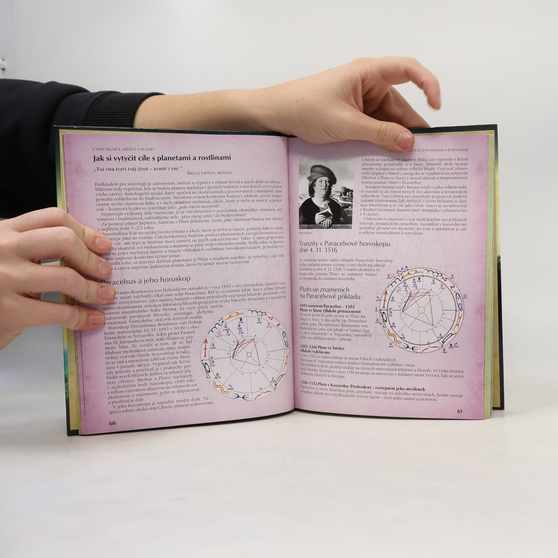 Yvonne H. Koch Astrologie rostlin : léčivá síla rostlin a planet