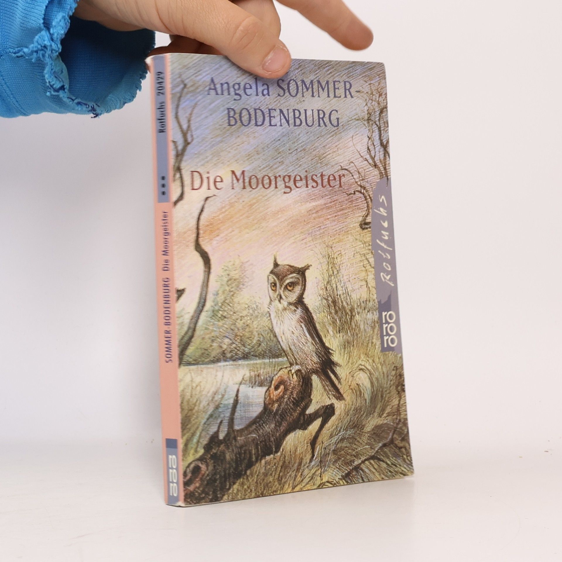 Angela Sommer-Bodenburg Die Moorgeister