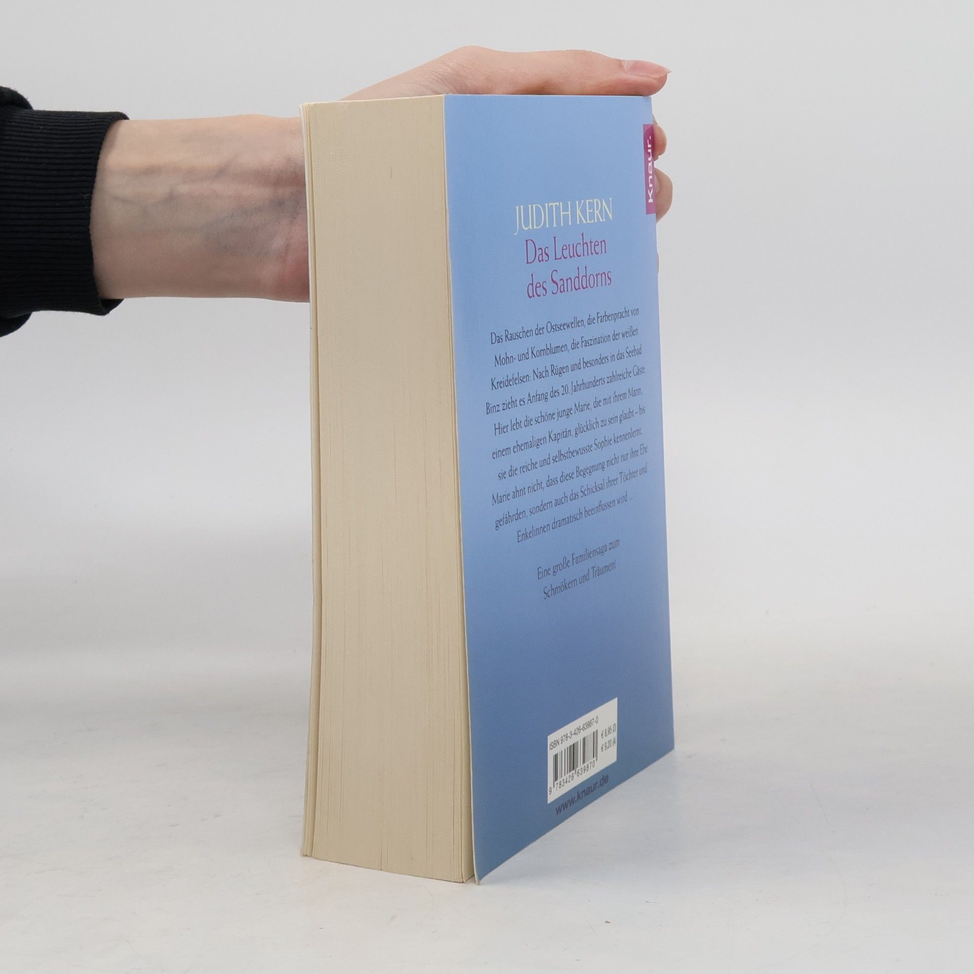 Judith Kern Das Leuchten des Sanddorns