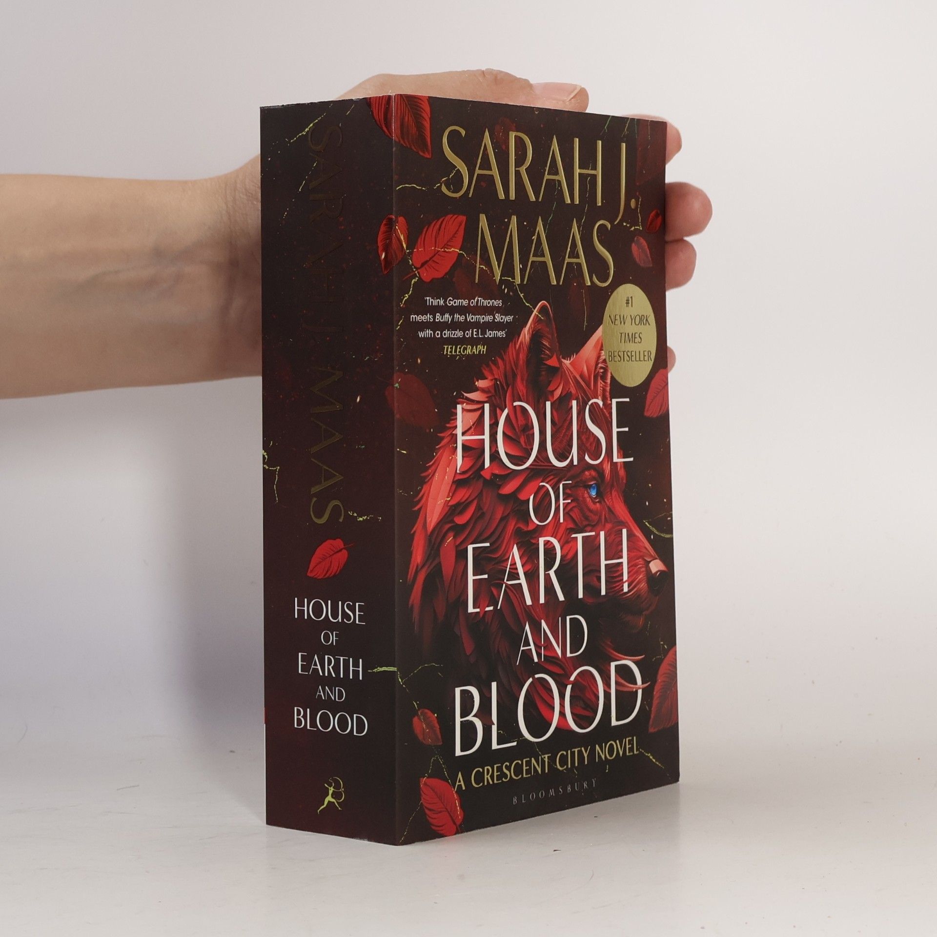 Sarah J. Maas House of Earth and Blood