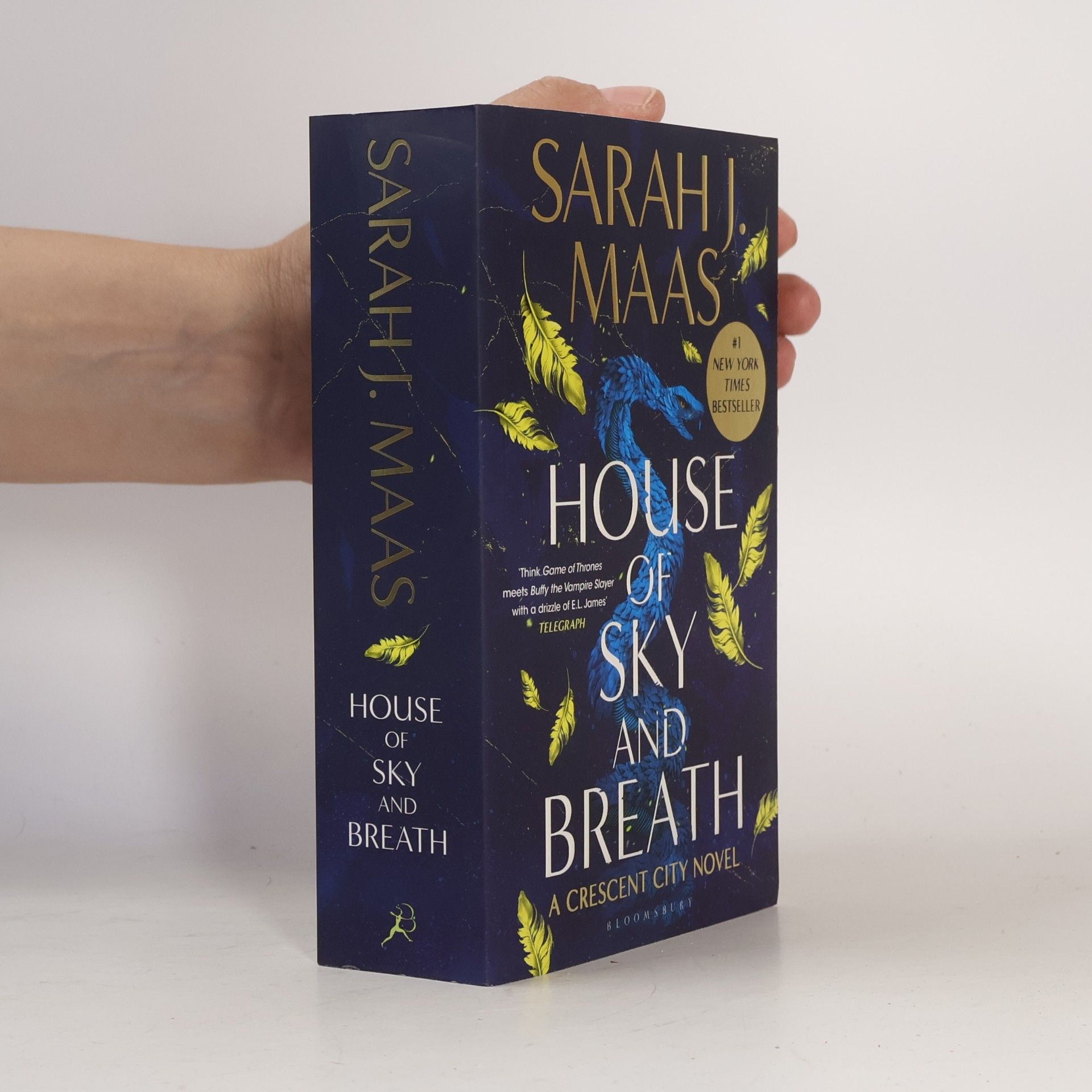 Sarah J. Maas House of Sky and Breath