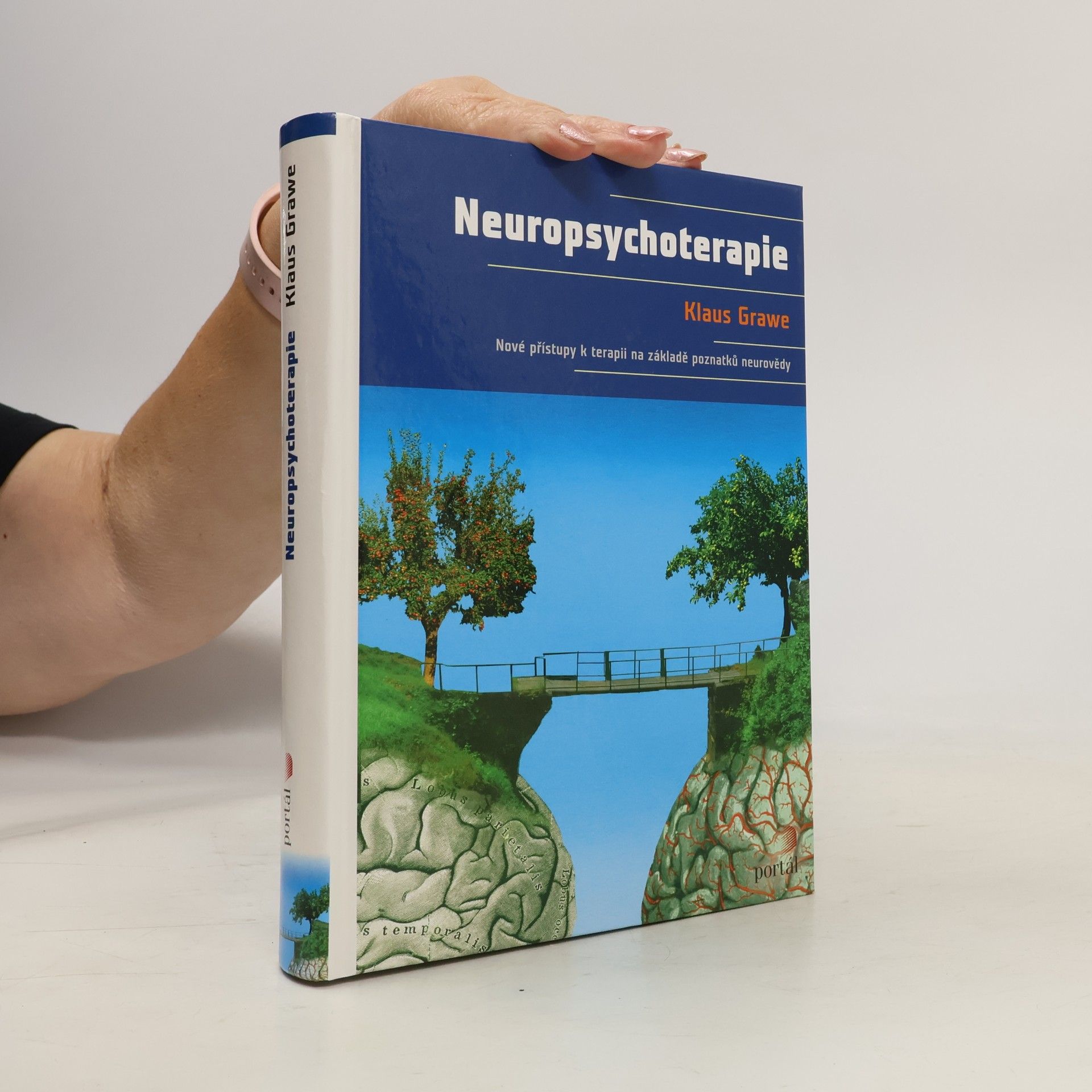 Klaus Grawe Neuropsychoterapie