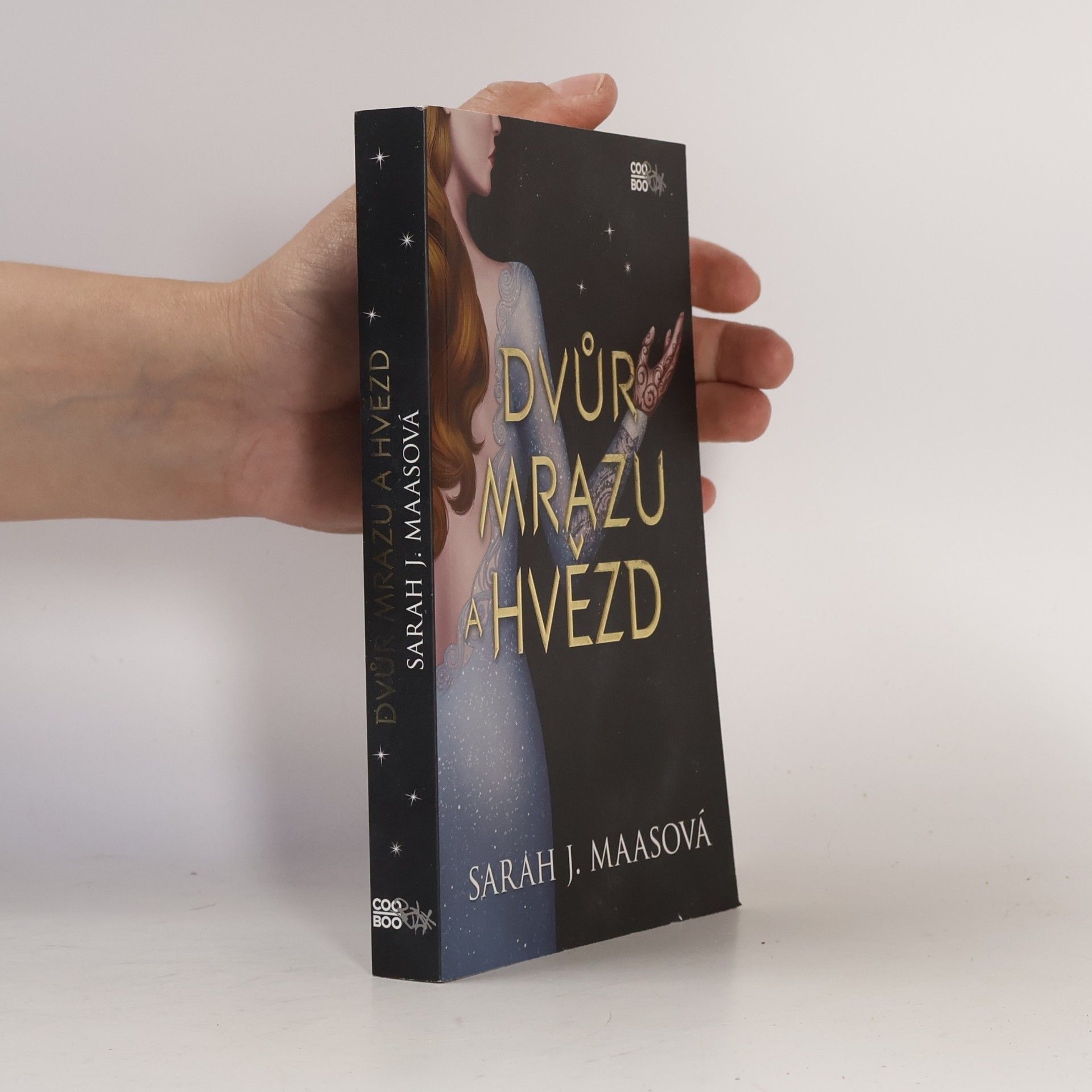 Sarah J. Maas Dvůr mrazu a hvězd