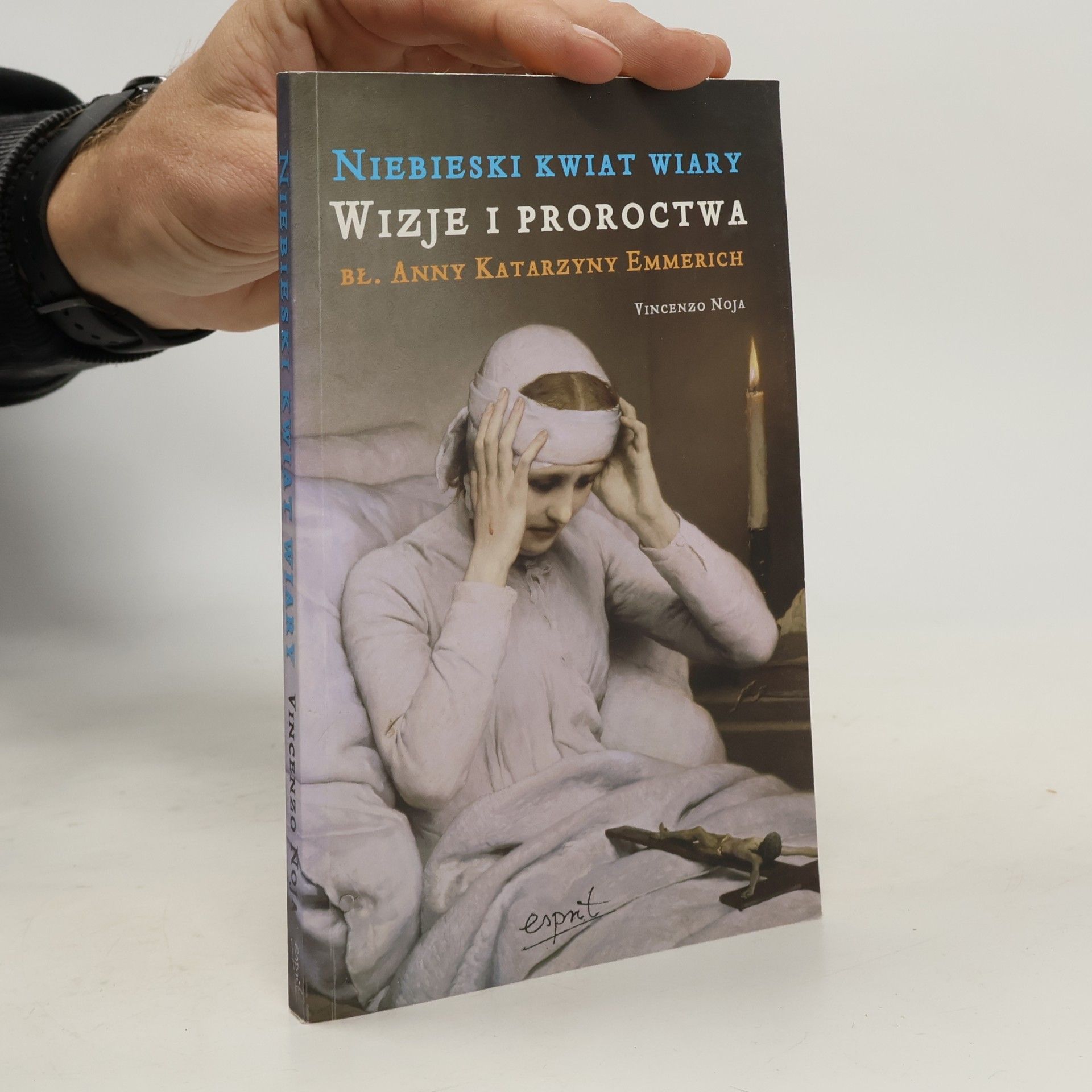 Vincenzo Noja Niebieski kwiat wiary Wizje i proroctwa bł. Anny Katarzyny Emmerich