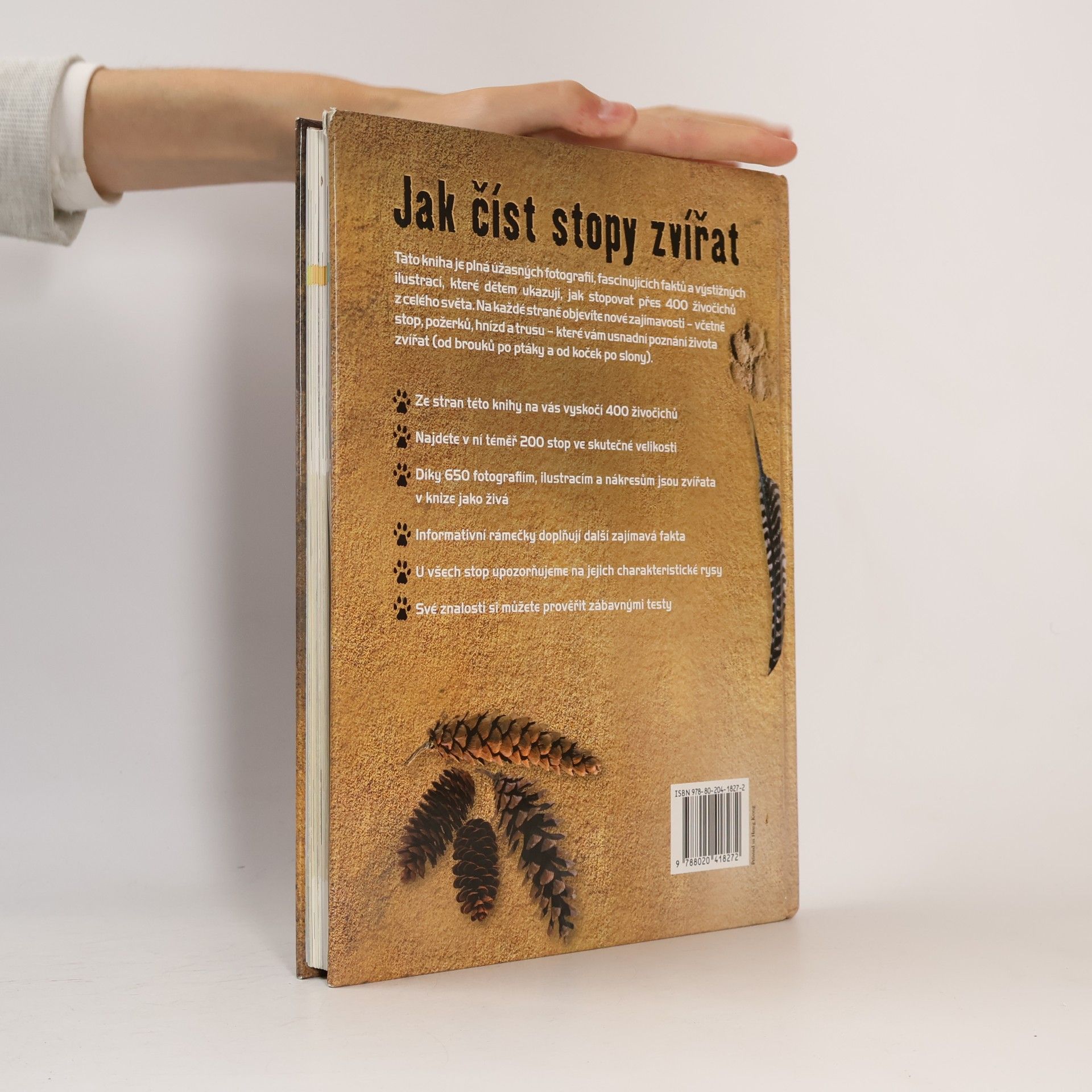 Jinny Johnson Jak číst stopy zvířat