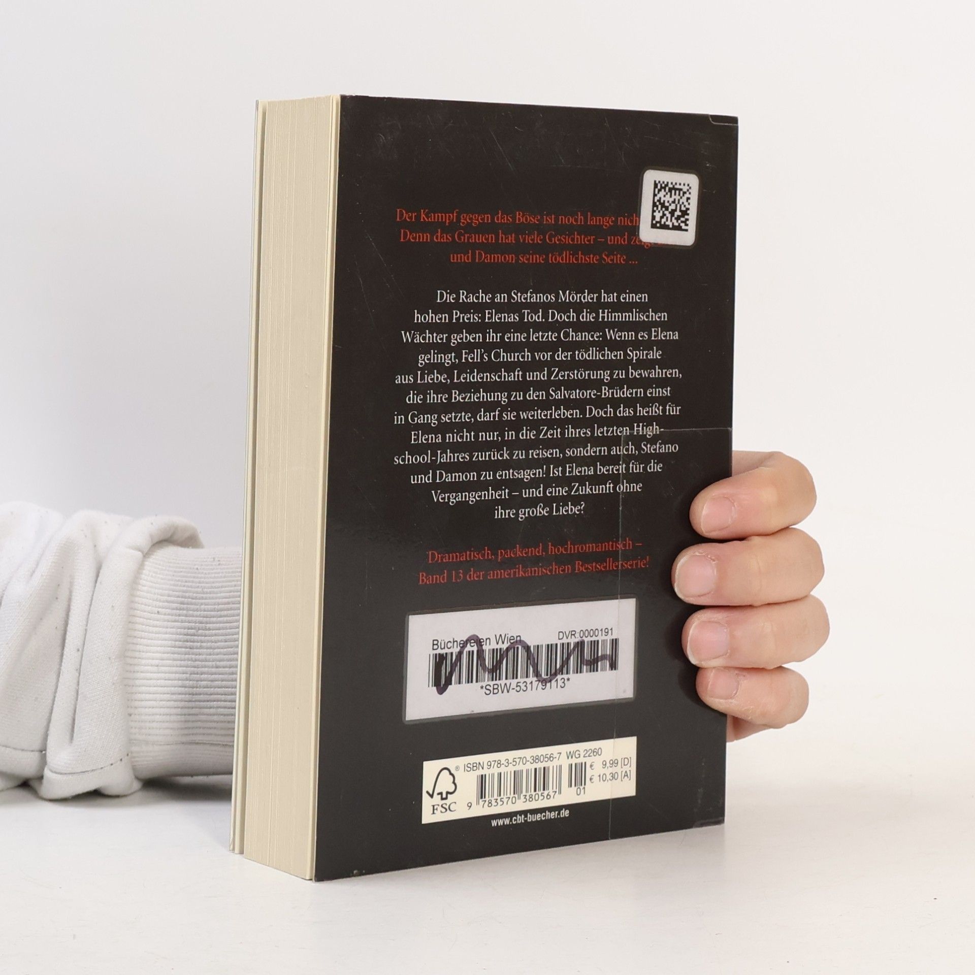 L. J. Smithová Tagebuch eines Vampirs. Im Licht der Ewigkeit