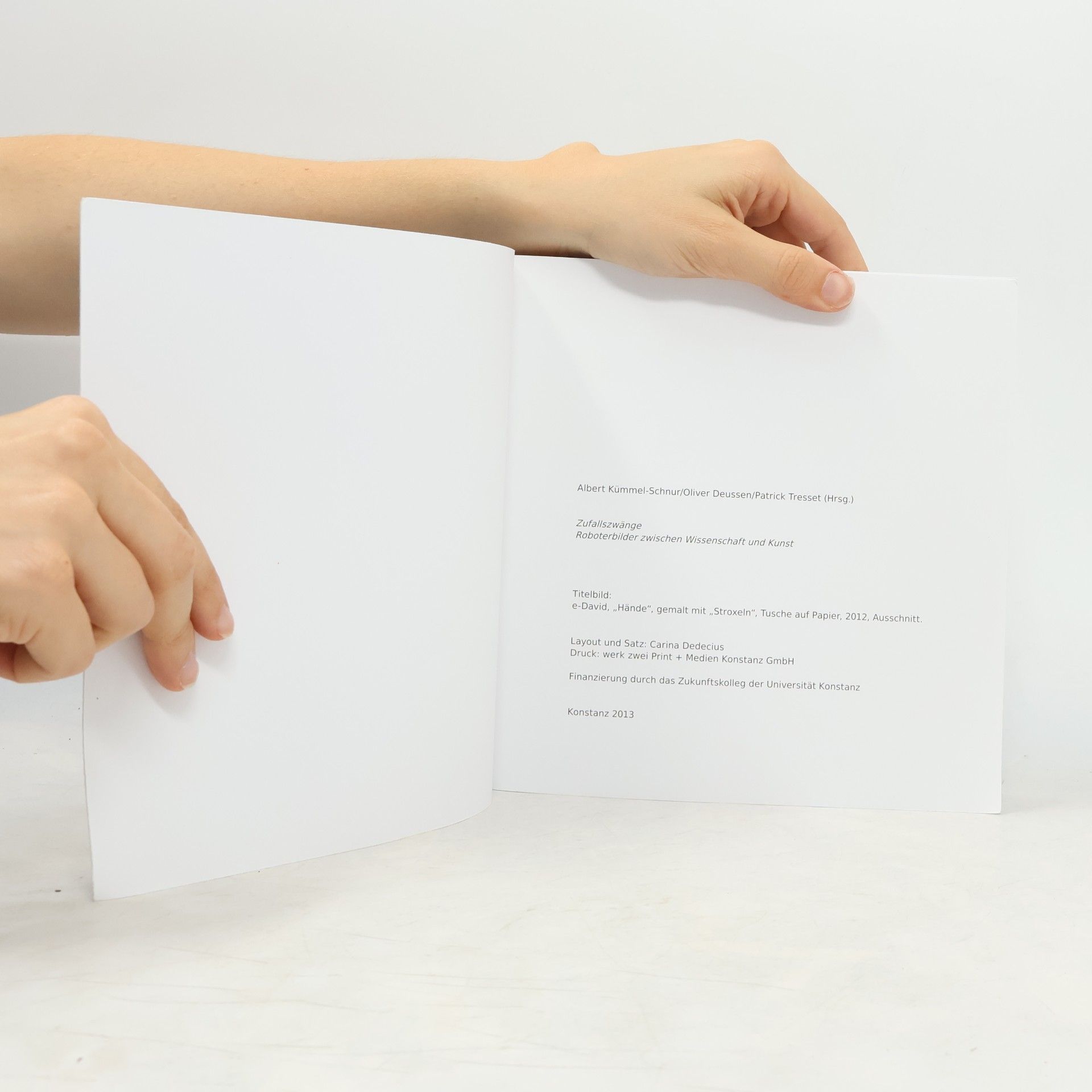 Autorenkollektiv Zufallszwänge. Roboterbilder zwischen Wissenschaft und Kunst