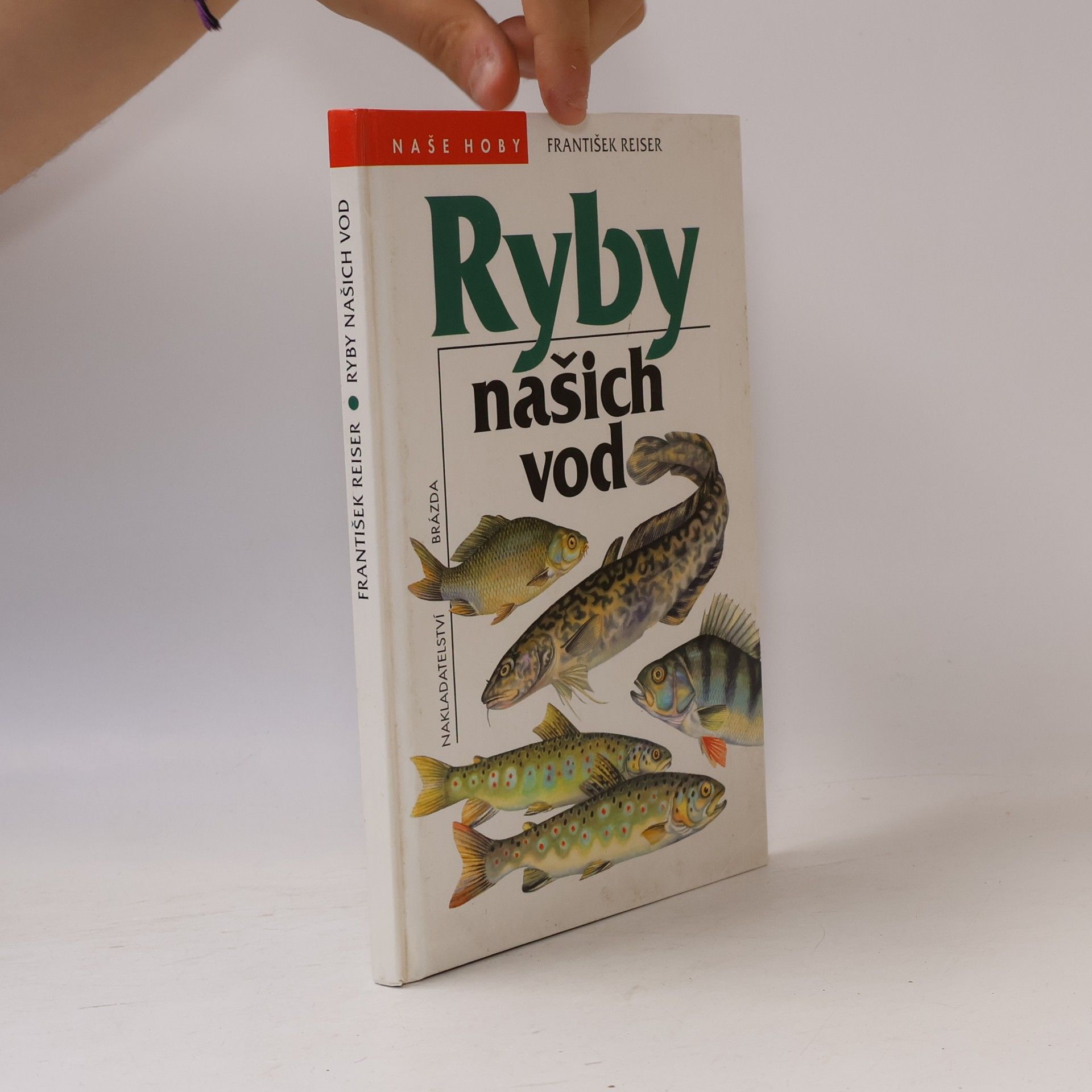 Ryby našich vod