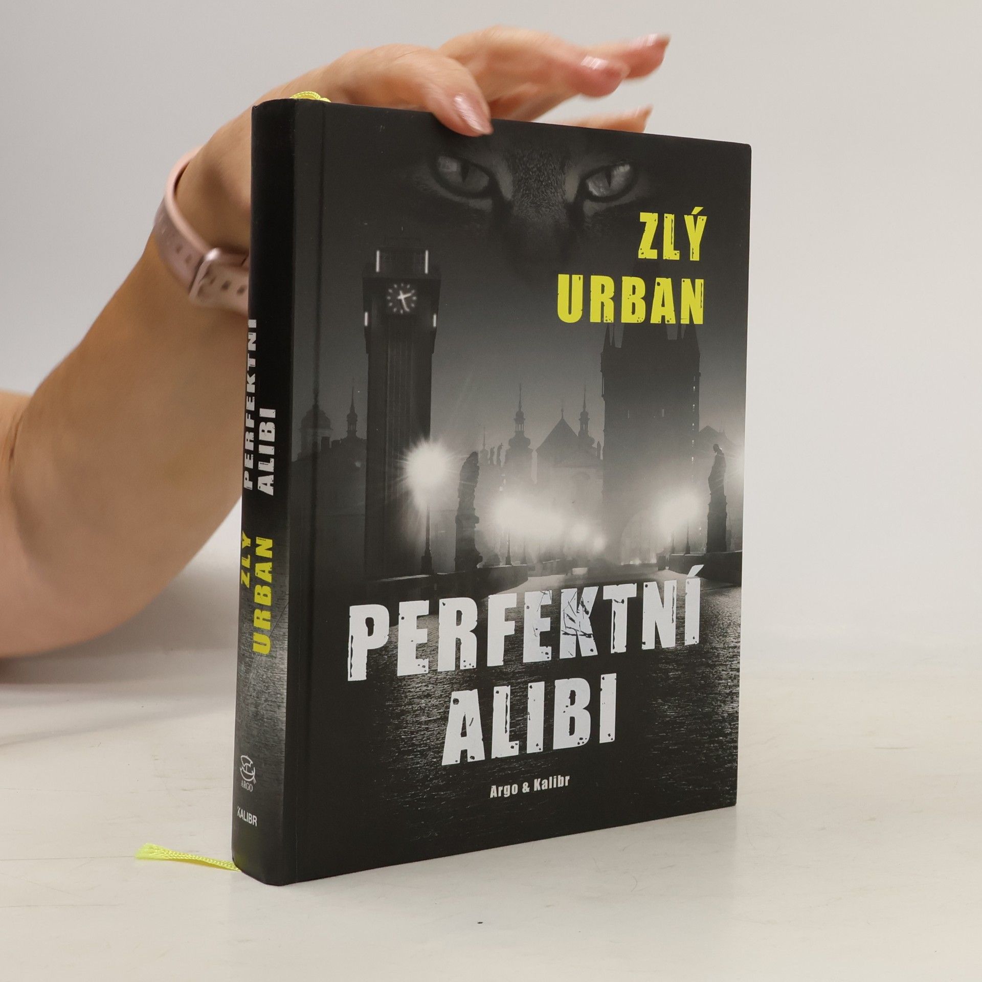 Vladimír Zlý Perfektní alibi