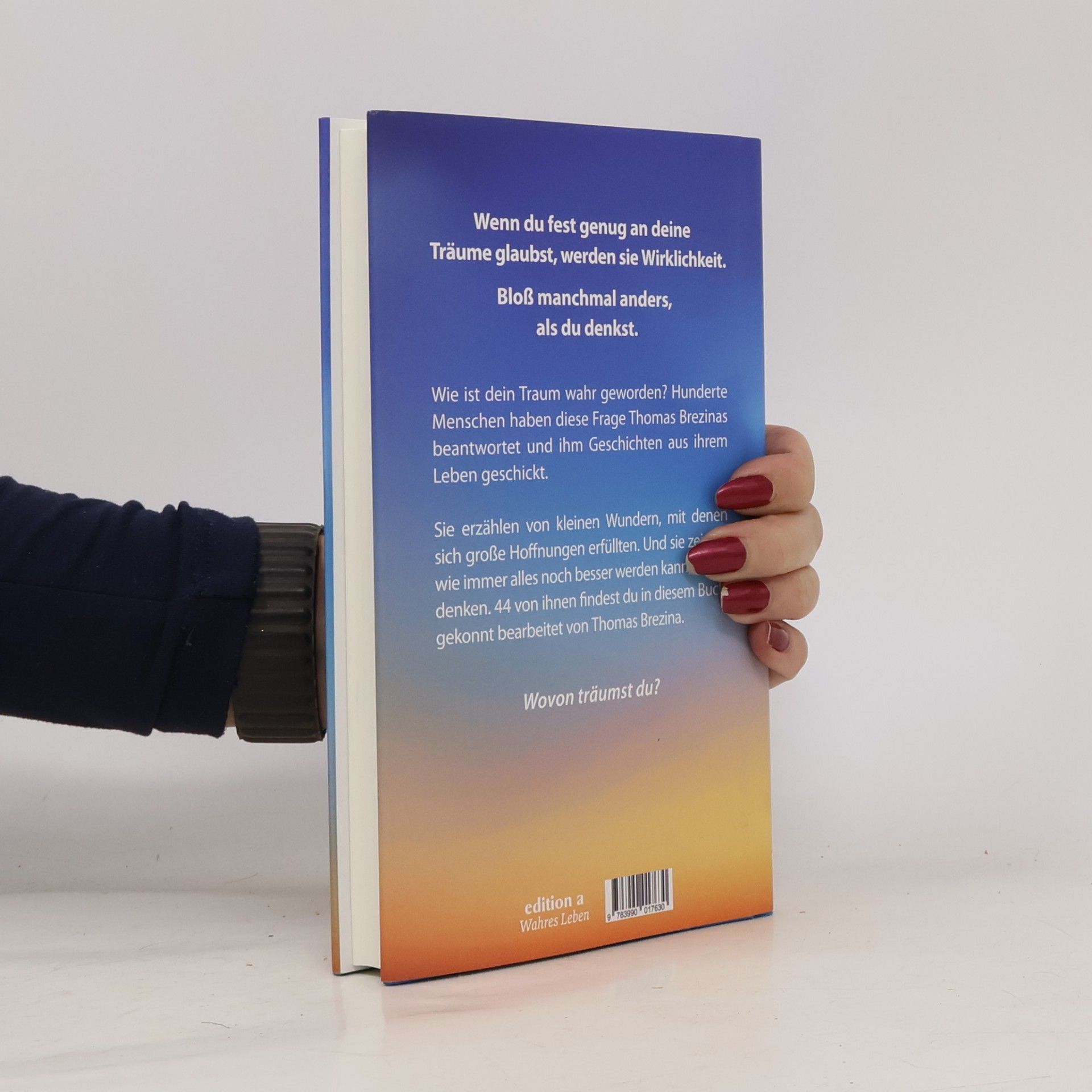 Thomas Brezina Ein Haus in den Wolken. 44 Träume, die Wirklichkeit wurden