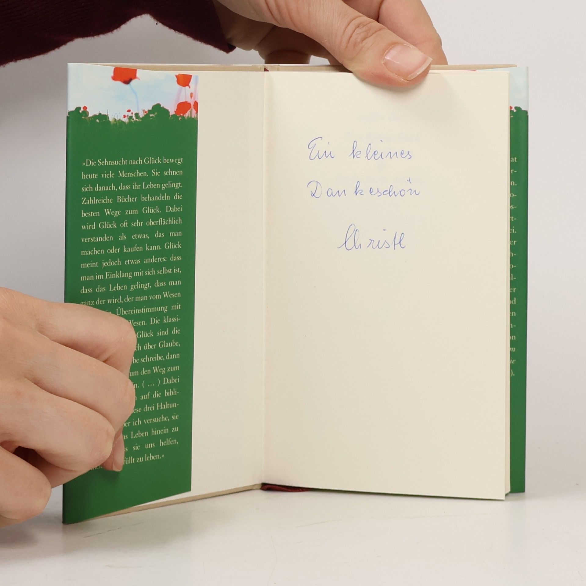 Anselm Grün Das kleine Buch der Tugenden