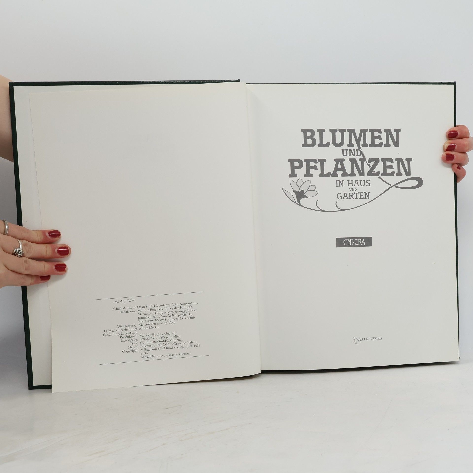 Julia Voskuil Blumen und Pflanzen in Haus und Garten