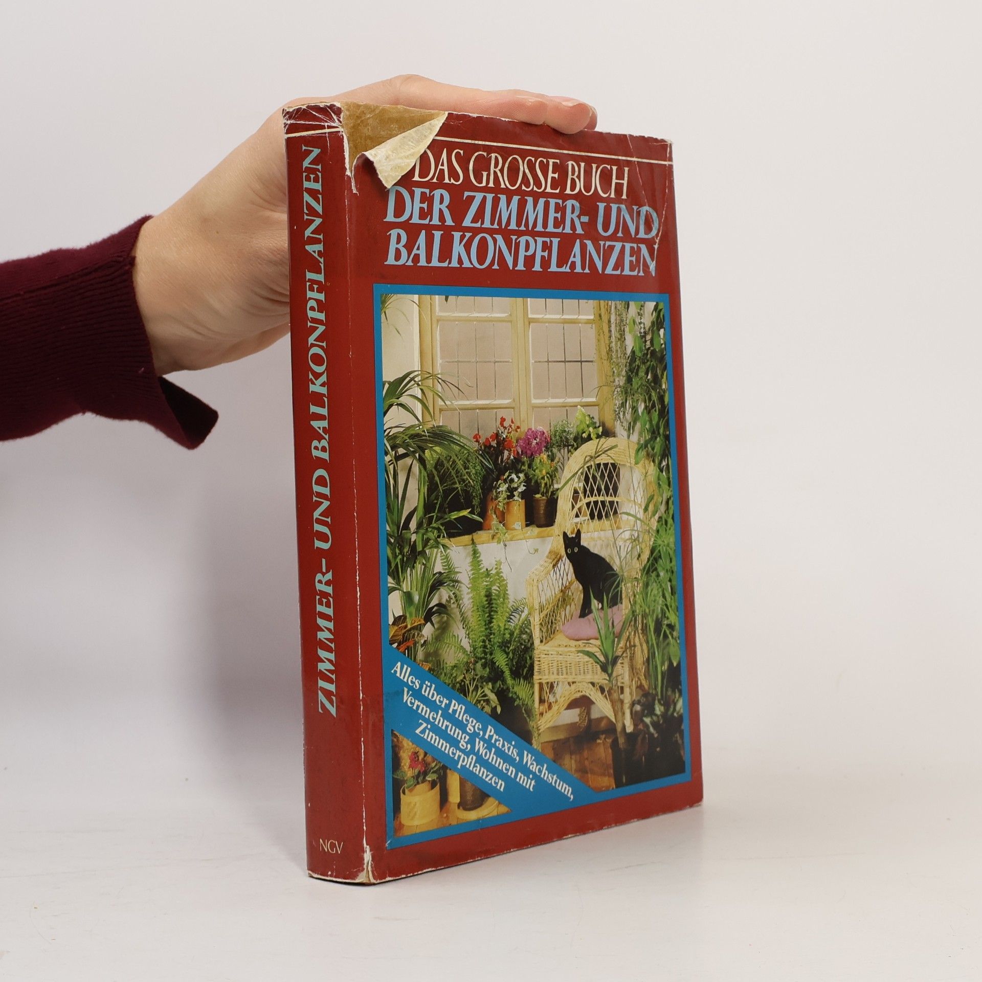 Hermann Bischoff Das große Buch der Zimmer- und Balkonpflanzen