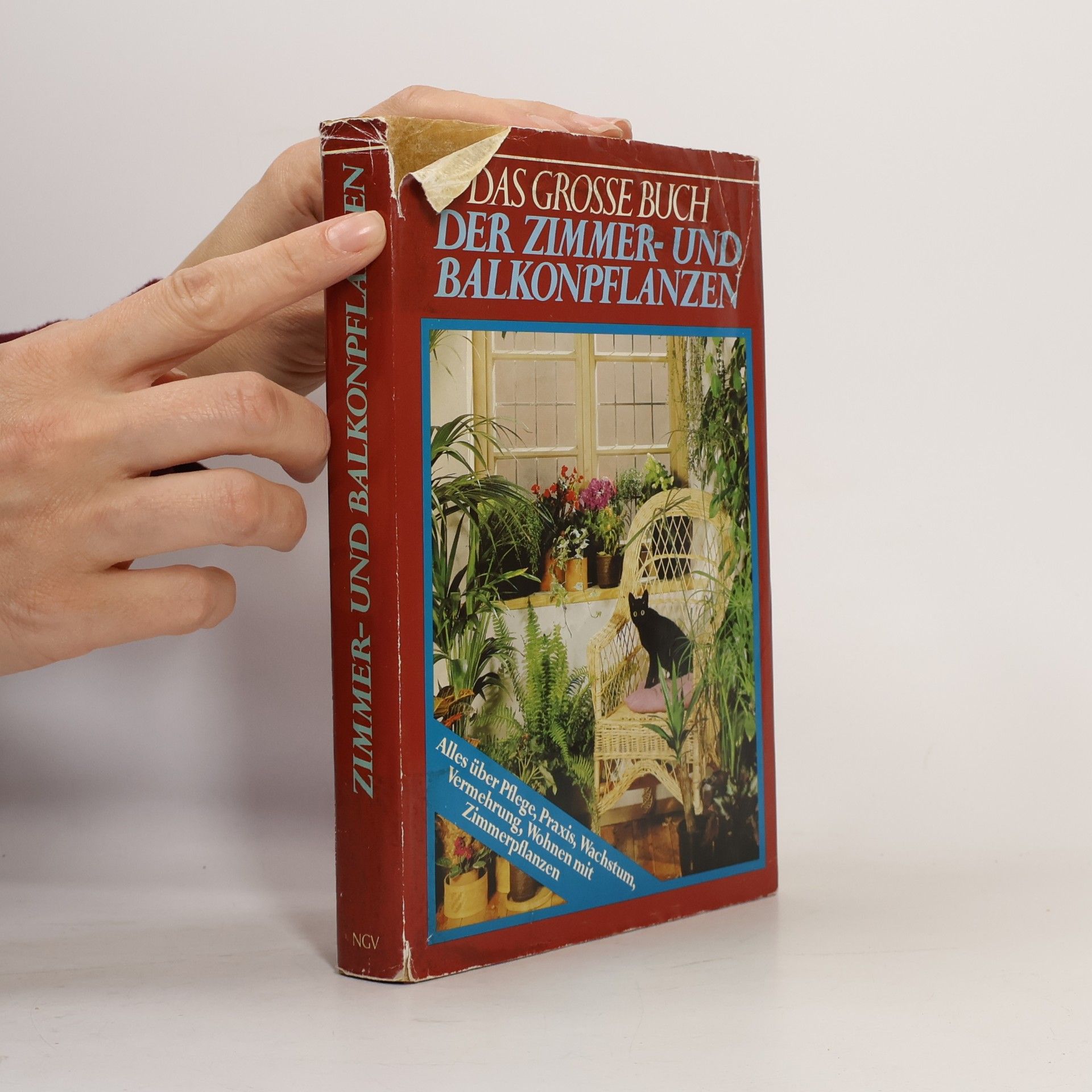 Hermann Bischoff Das große Buch der Zimmer- und Balkonpflanzen
