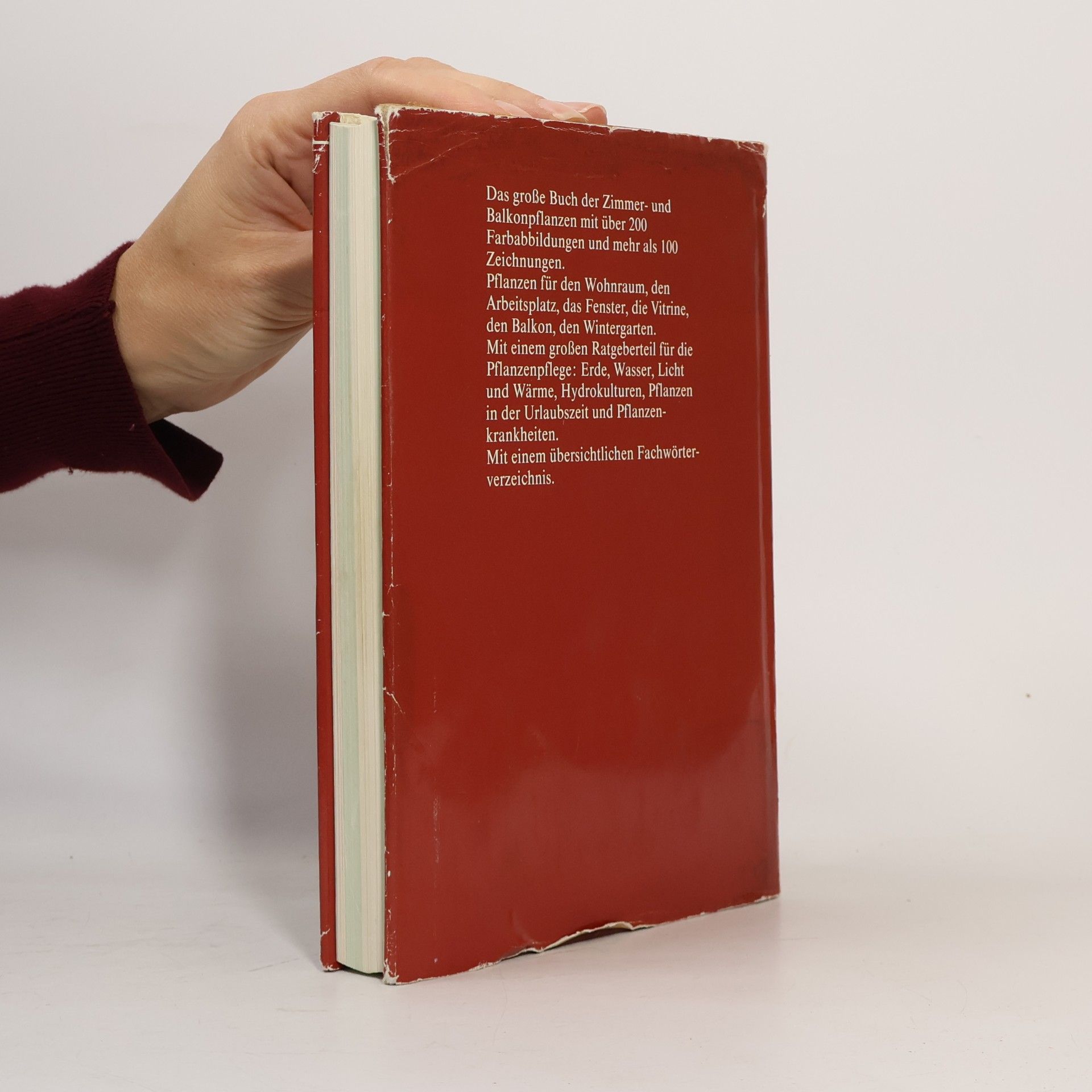 Hermann Bischoff Das große Buch der Zimmer- und Balkonpflanzen