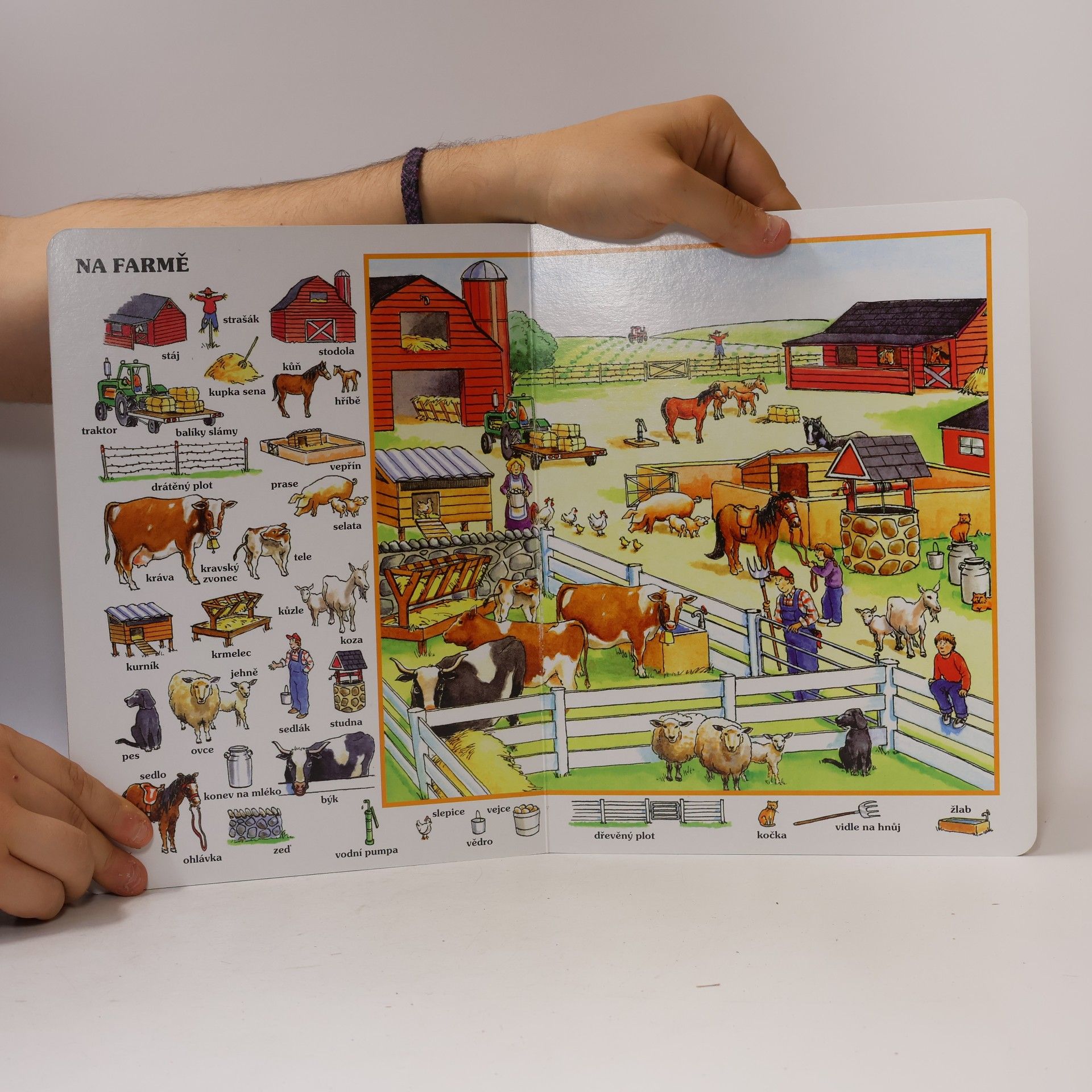 Various authors Moje první knížka: Už to vím