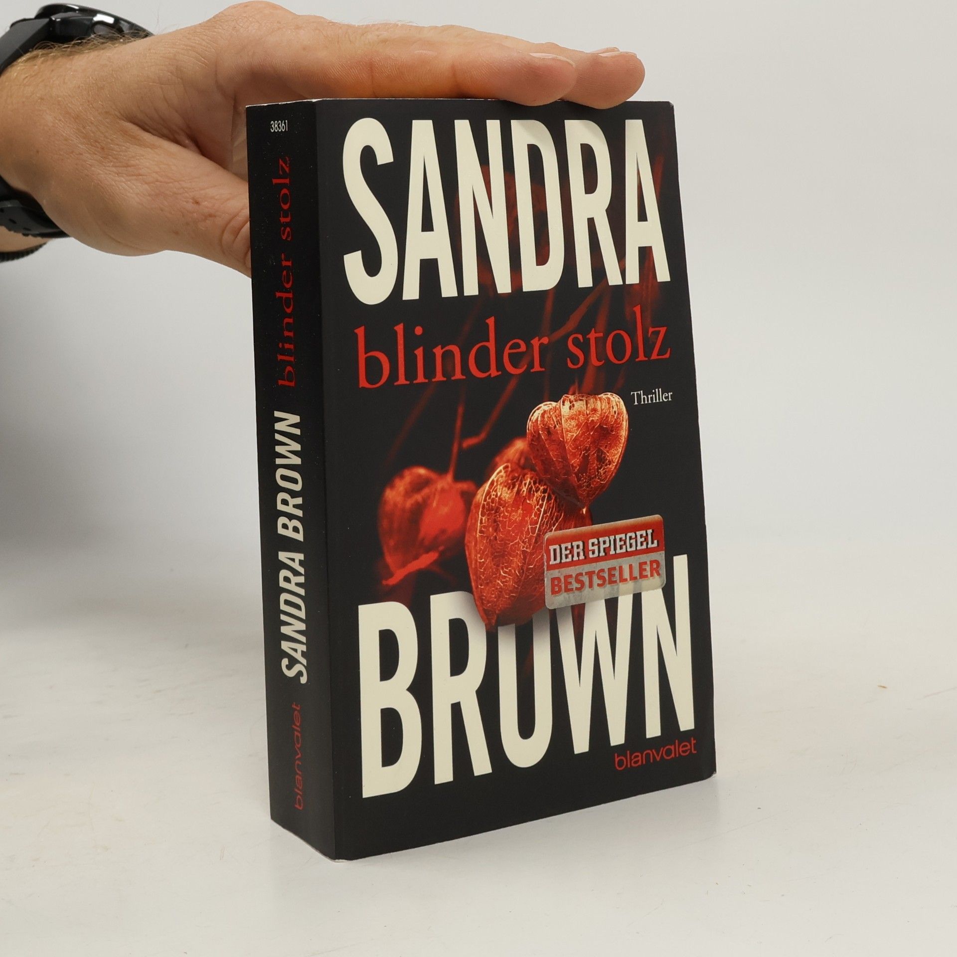 Sandra Brown Blinder Stolz