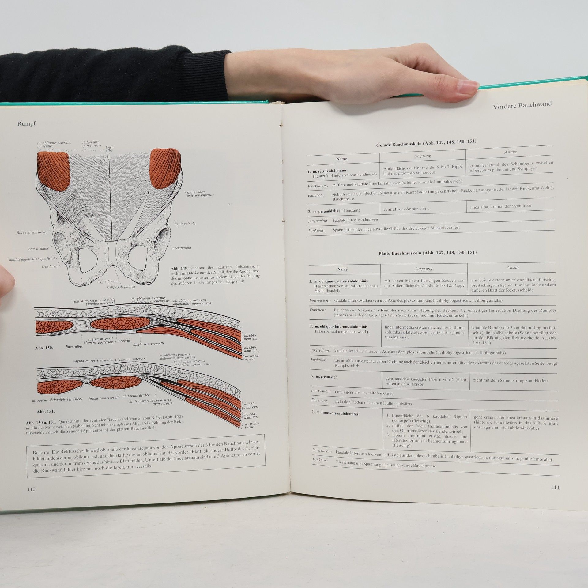 Johannes Sobotta Atlas der Anatomie des Menschen 2