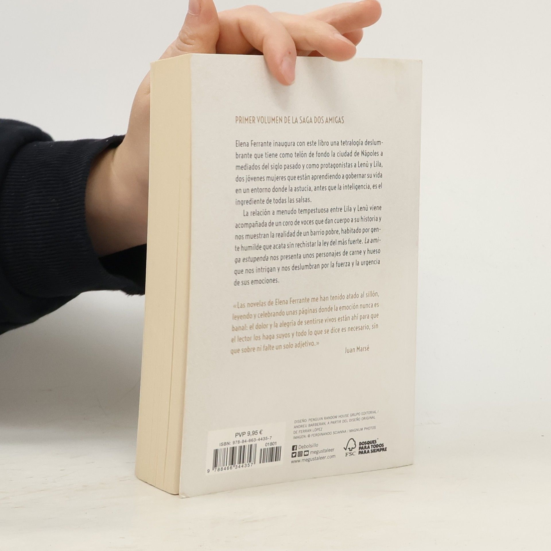 Elena Ferrante La amiga estupenda (Dos amigas 1)