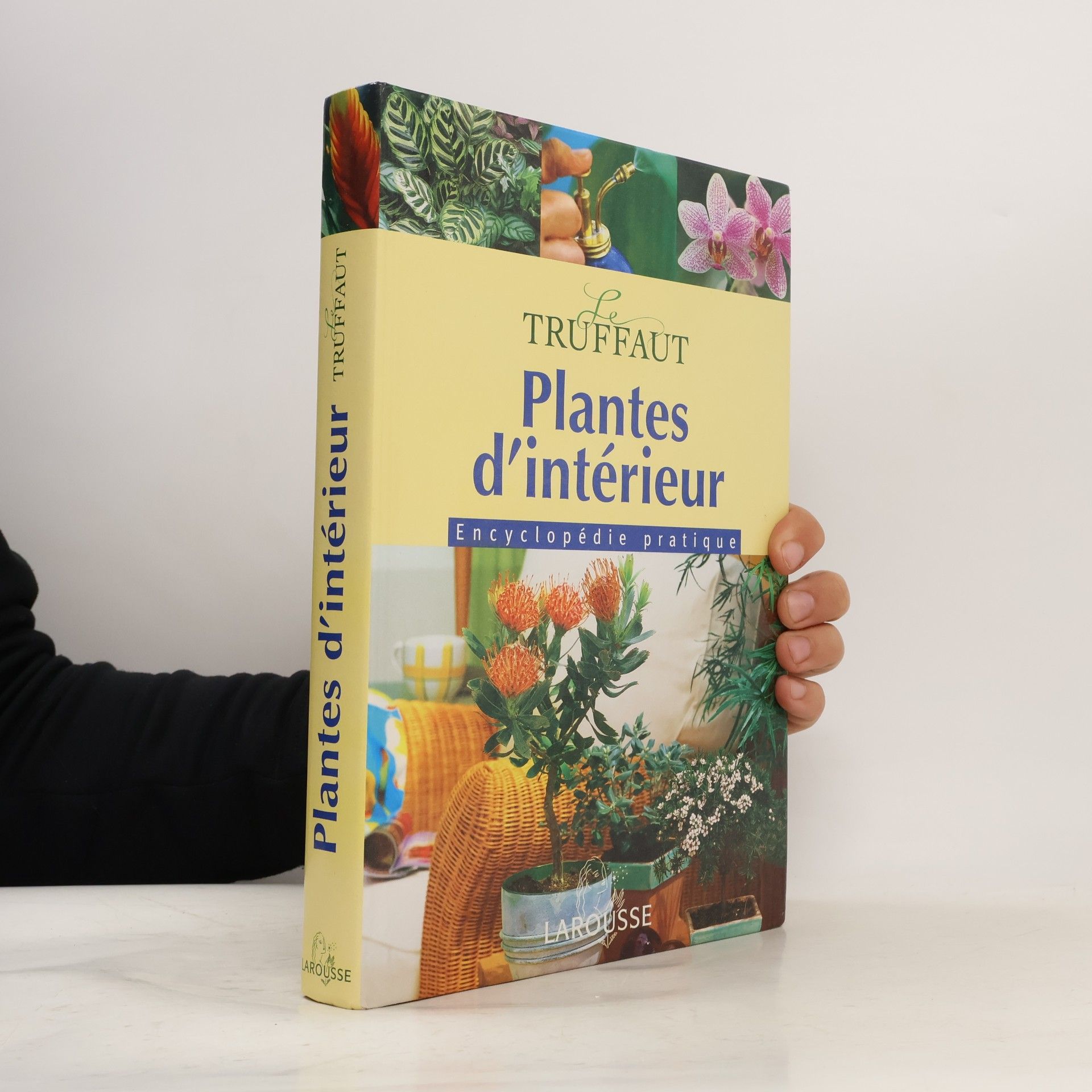 Patrick Mioulane Plantes d'intérieur