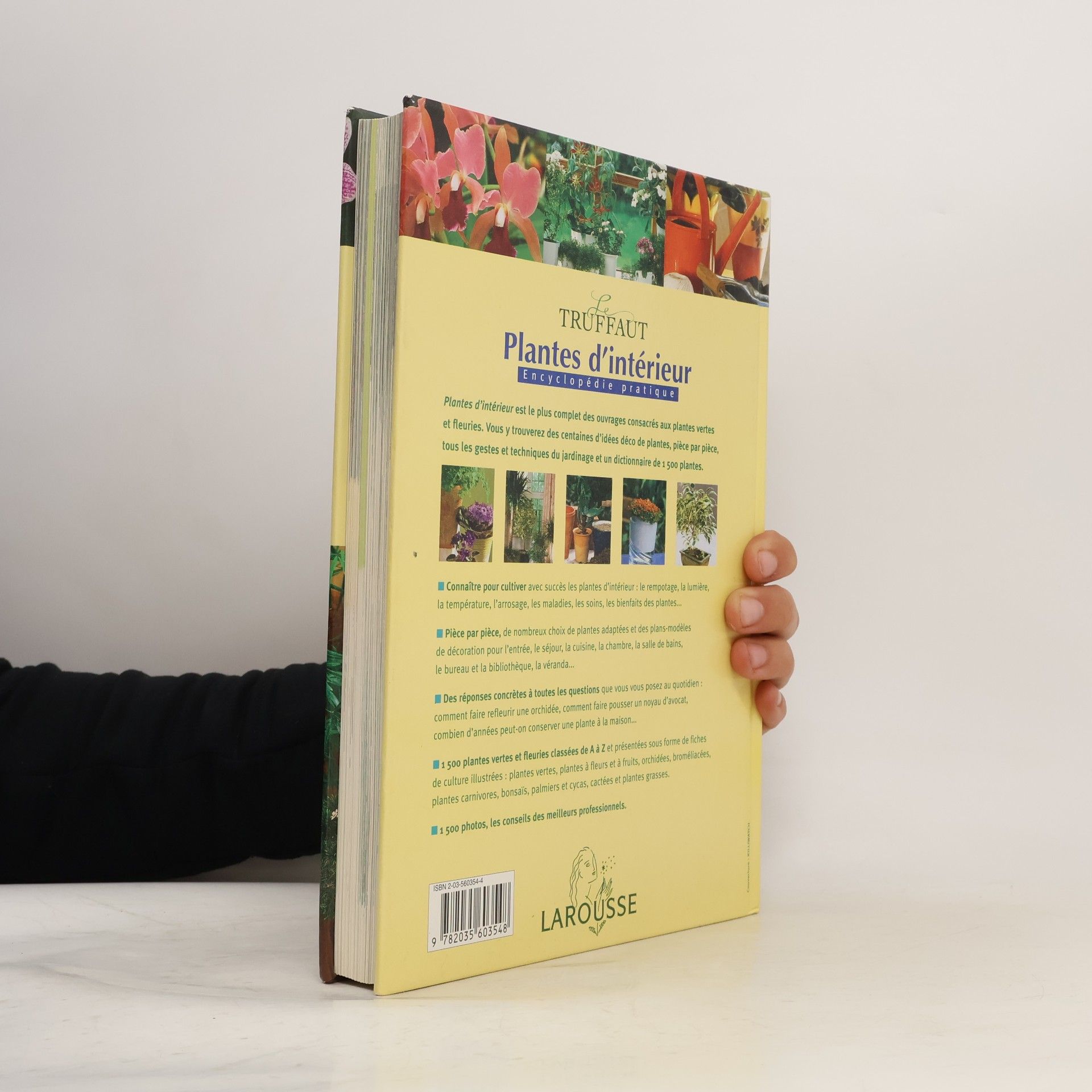 Patrick Mioulane Plantes d'intérieur