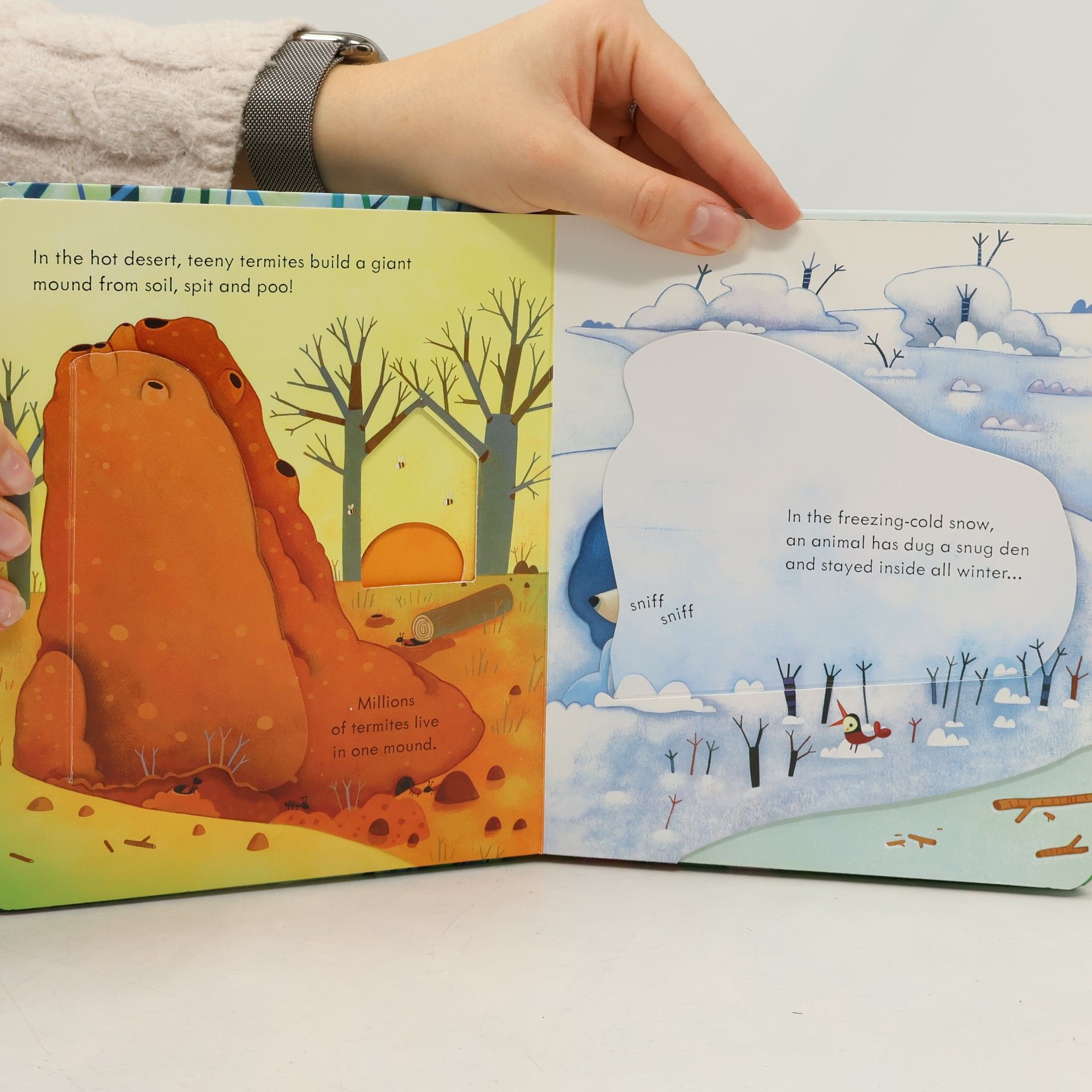 Anna Milbourne Peep Inside Animal Homes