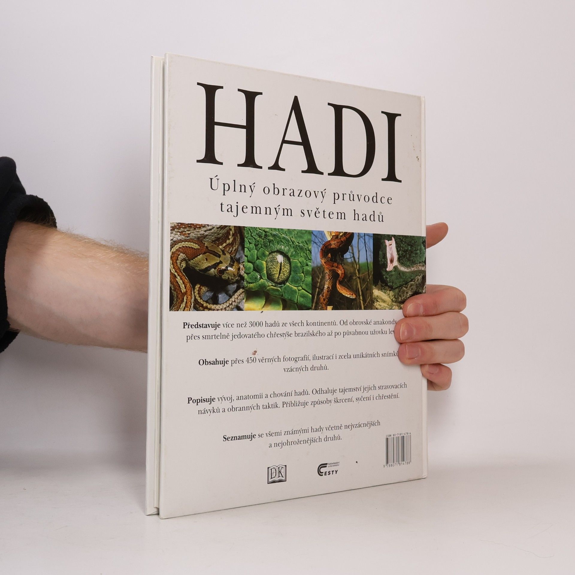 Chris Mattison Hadi