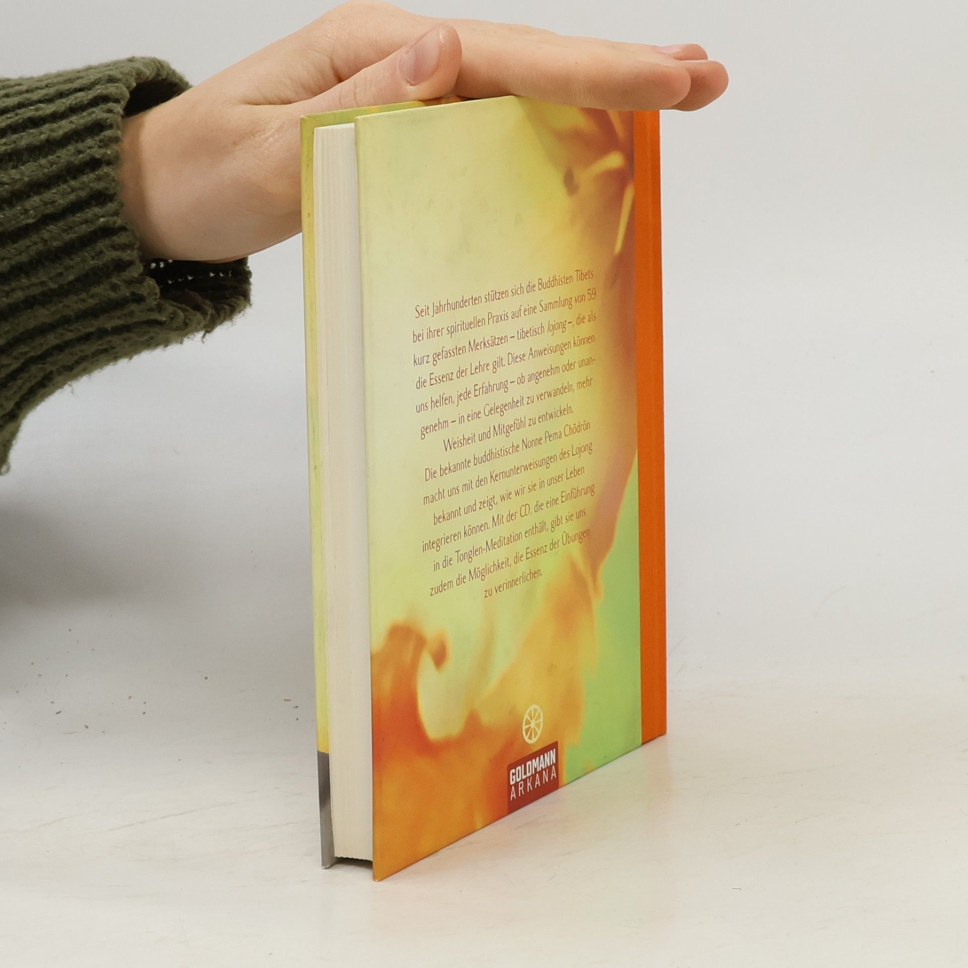 Pema Chödrön Suche die Freude