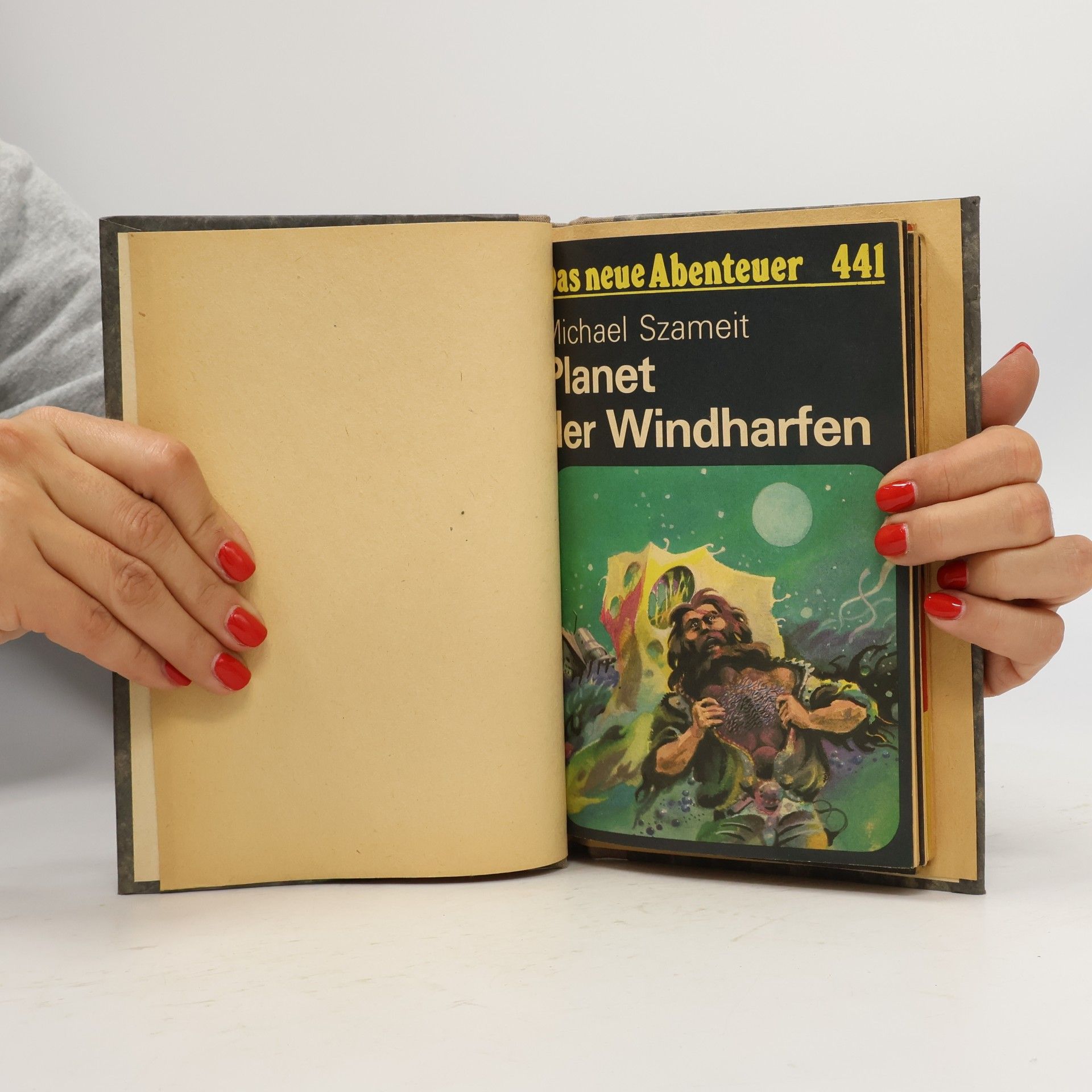Michael Szameit Planet der Windharfen