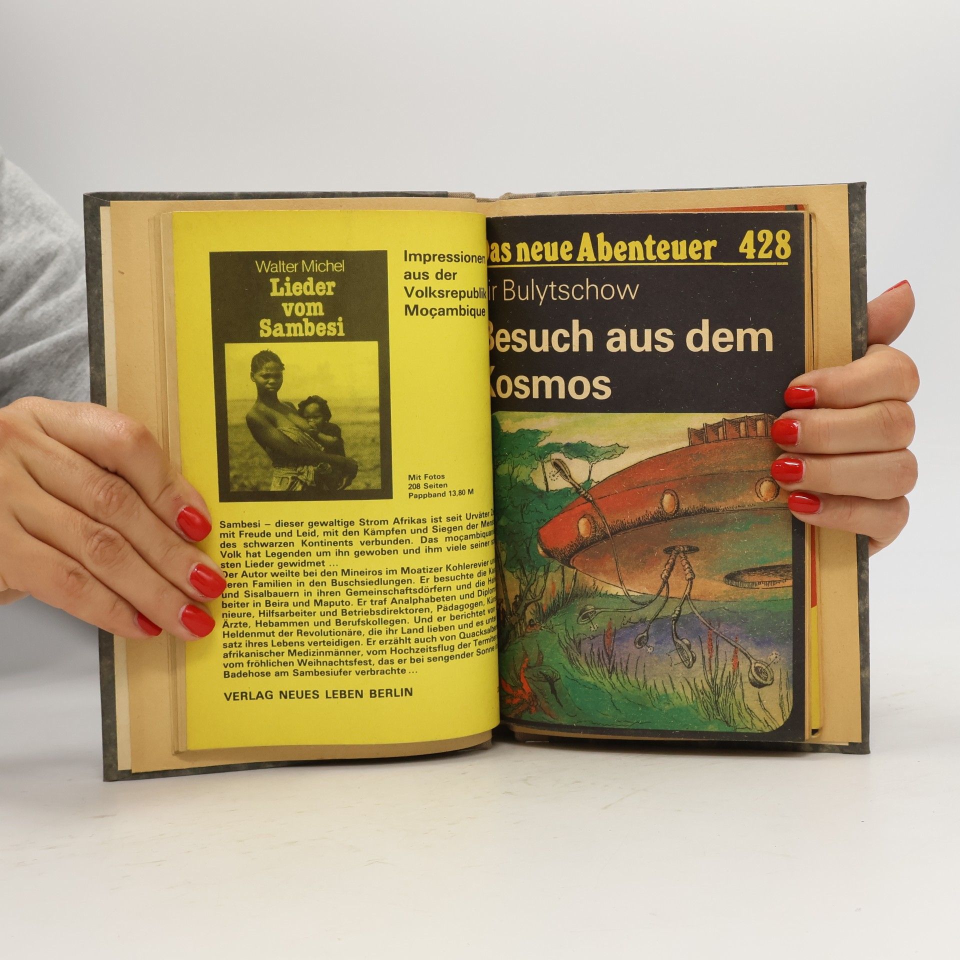 Michael Szameit Planet der Windharfen