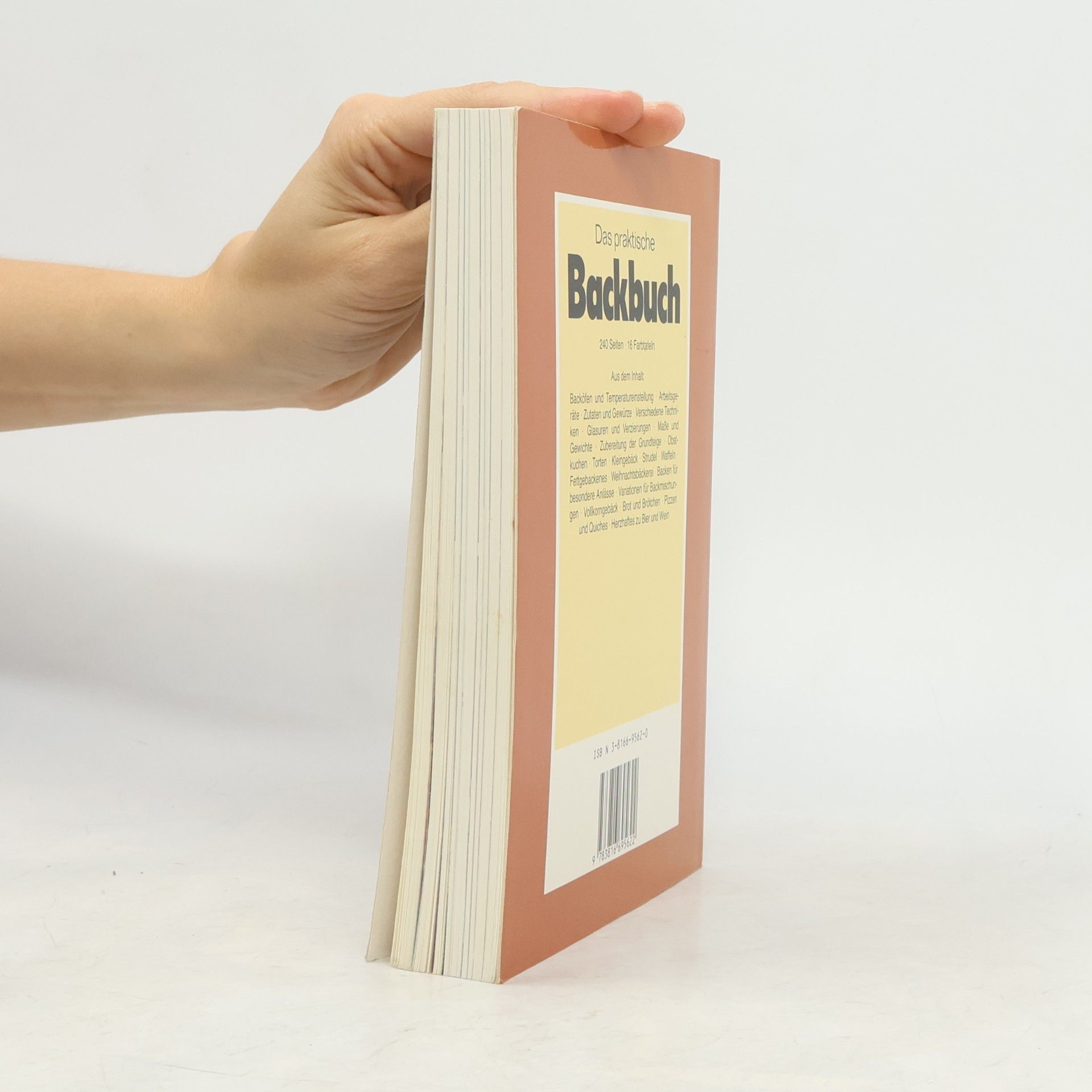 Elke Blome Das praktische Backbuch