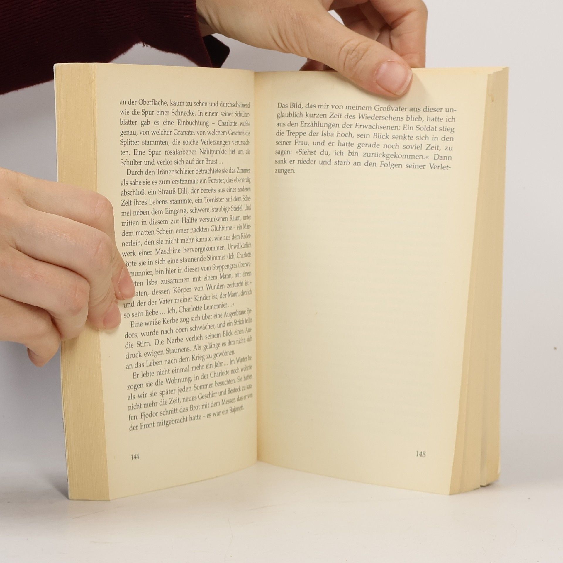 Andreï Makine Das französische Testament