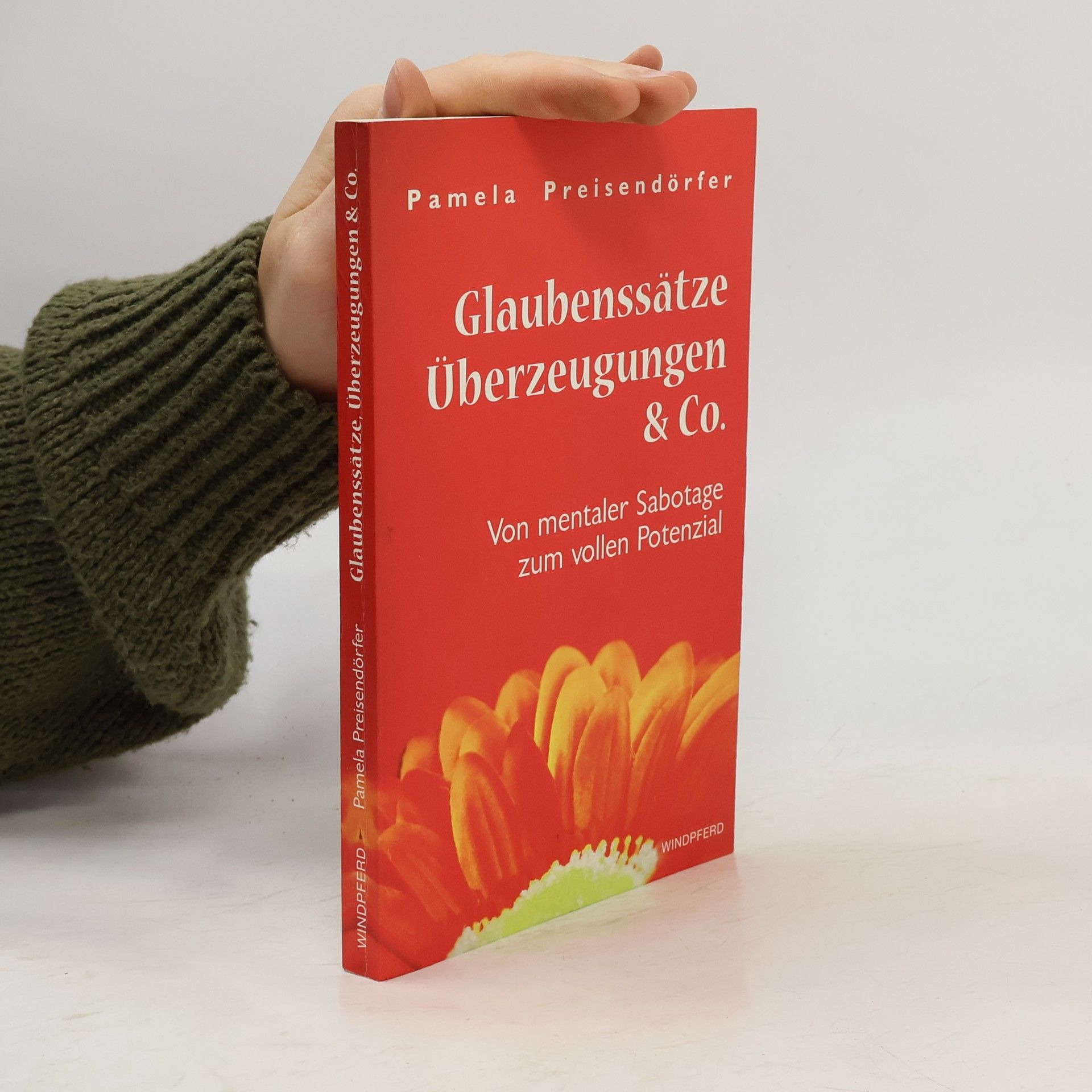 Autorenkollektiv Glaubenssätze, Überzeugungen & Co.