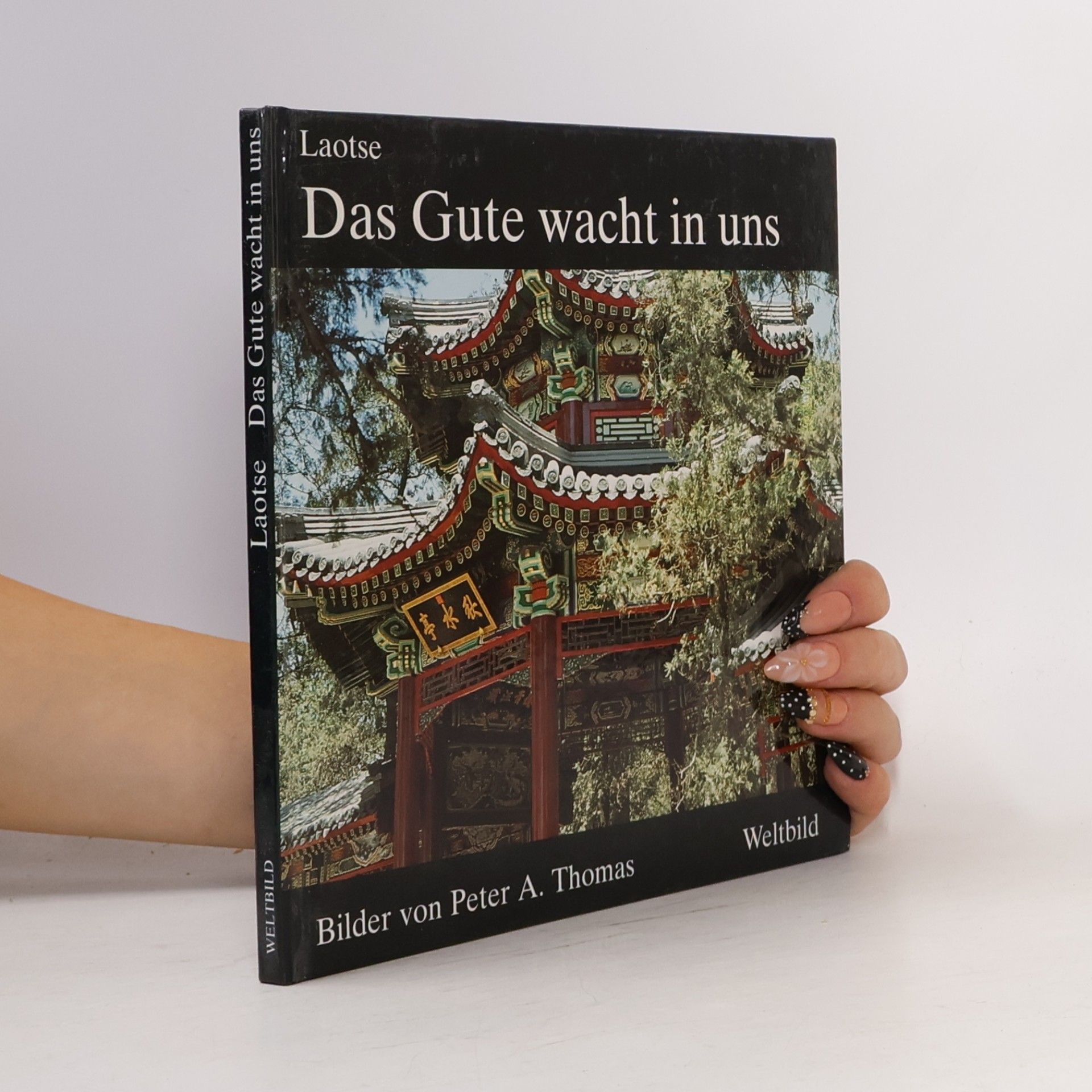 Peter A. Thomas Das Gute wacht in uns