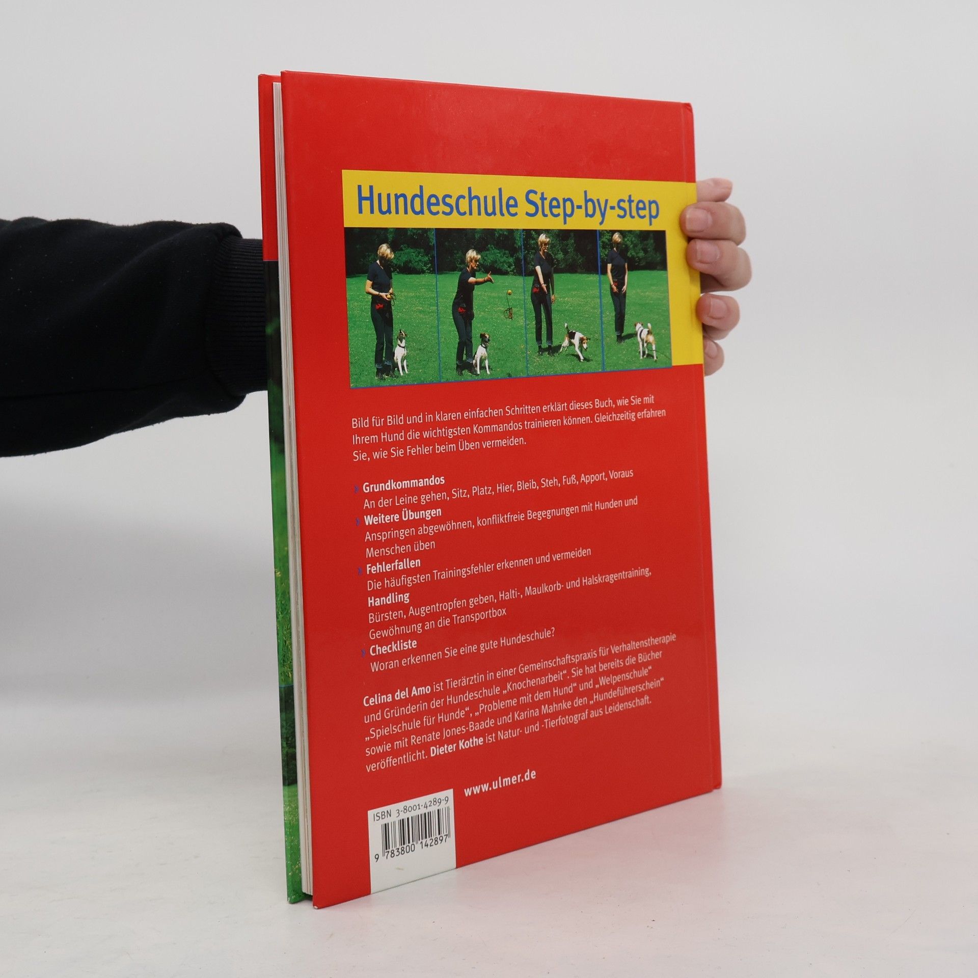 Celina Del Amo Hundeschule step-by-step