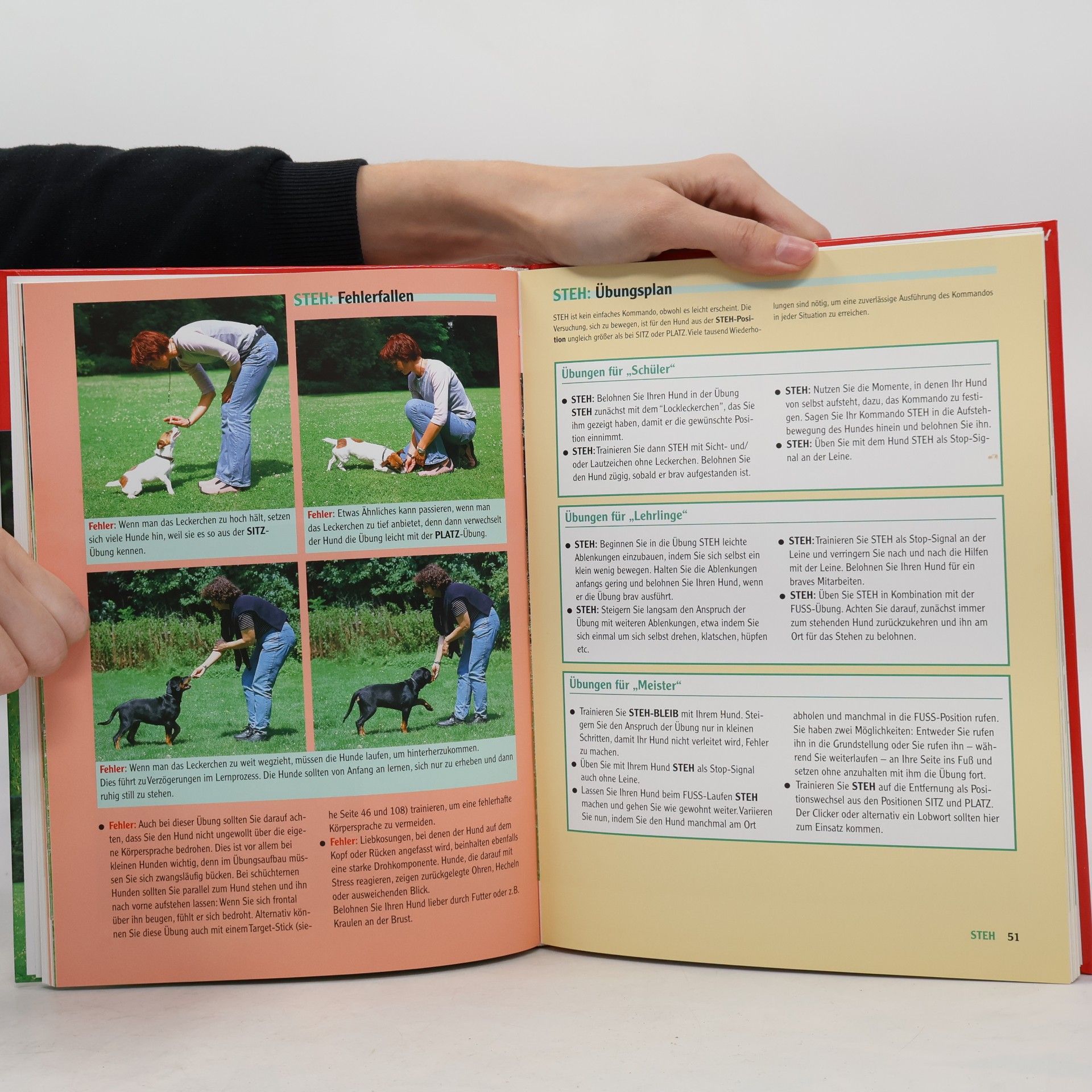 Celina Del Amo Hundeschule step-by-step