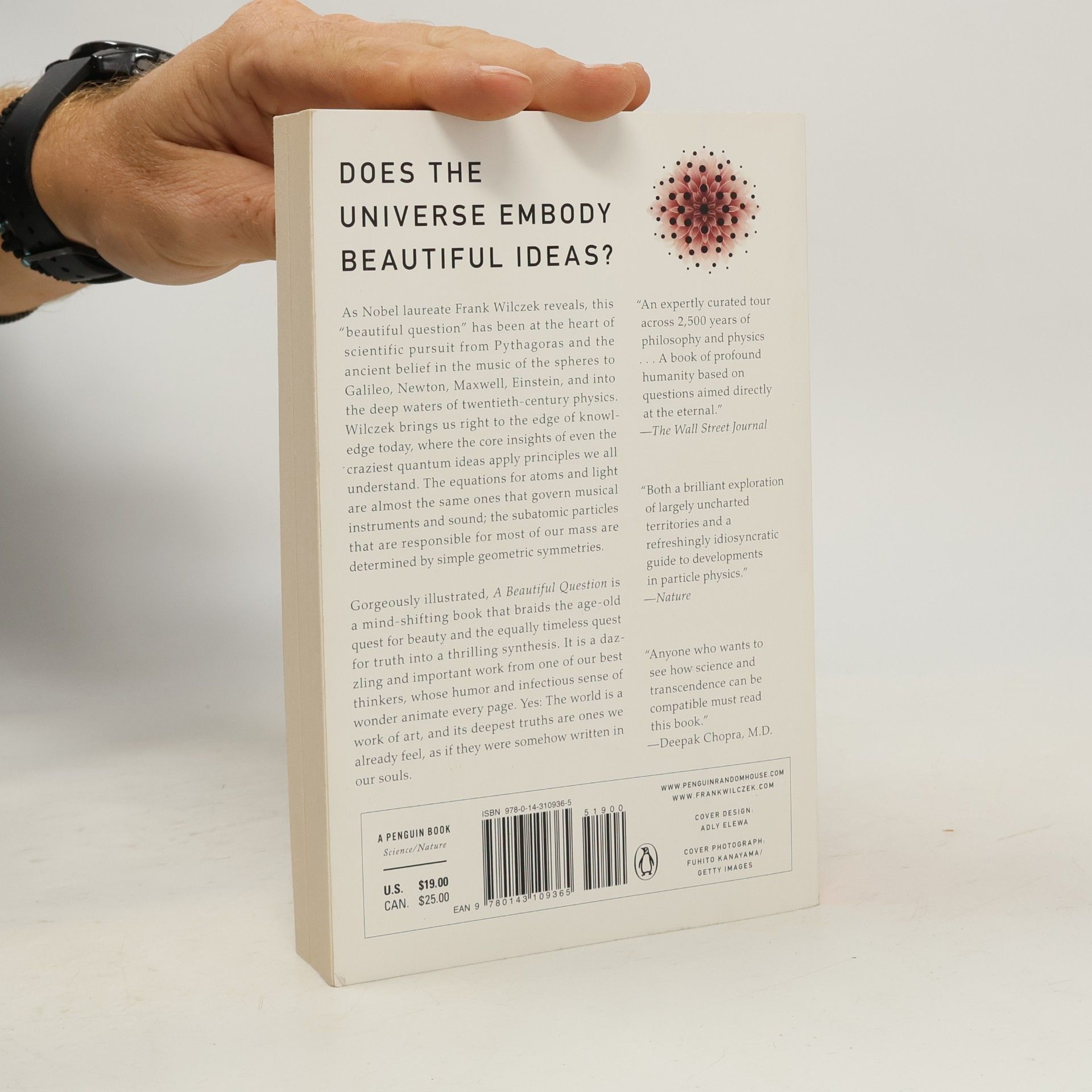 Frank Wilczek A Beautiful Question
