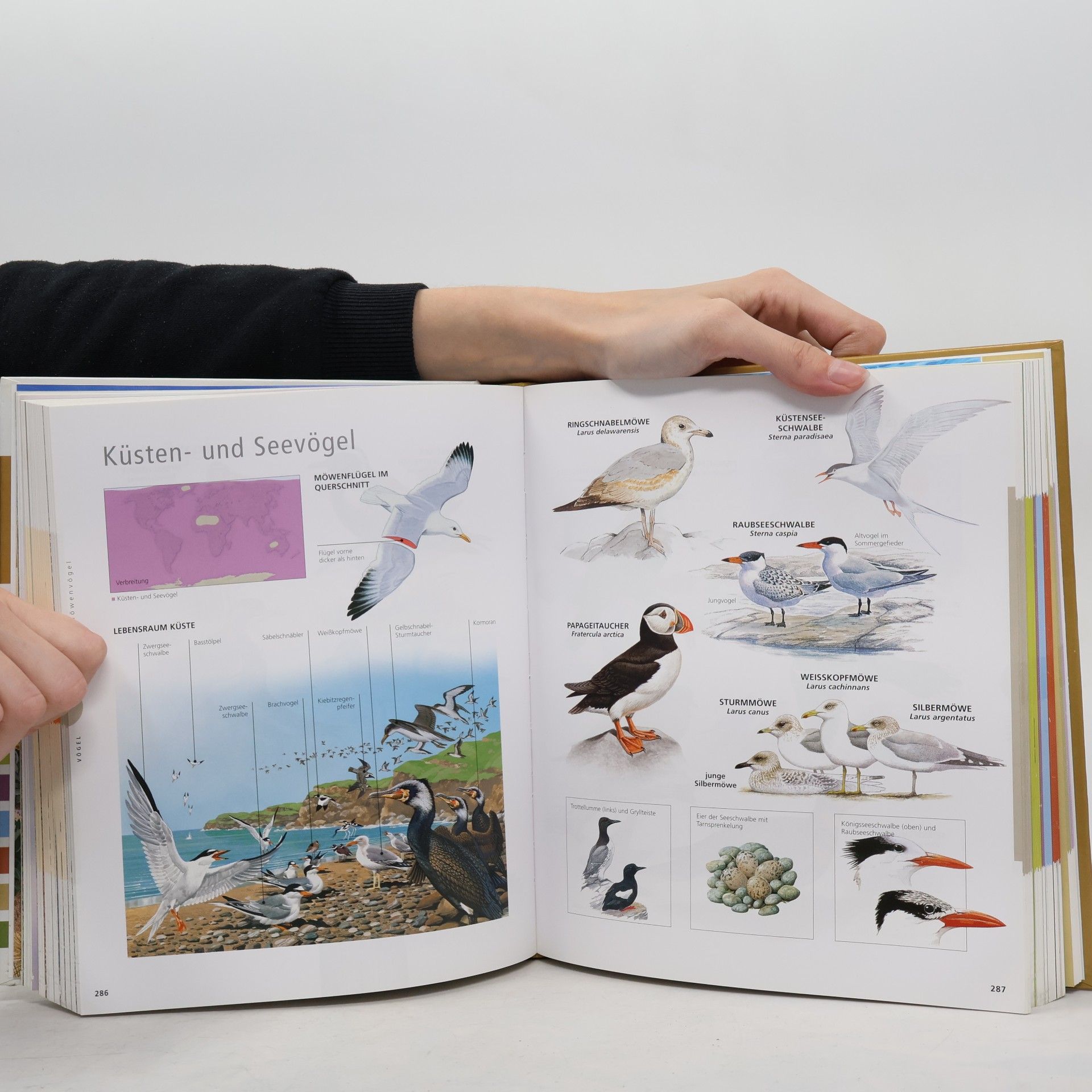 Gudrun Köhler Die ganze Welt der Tiere