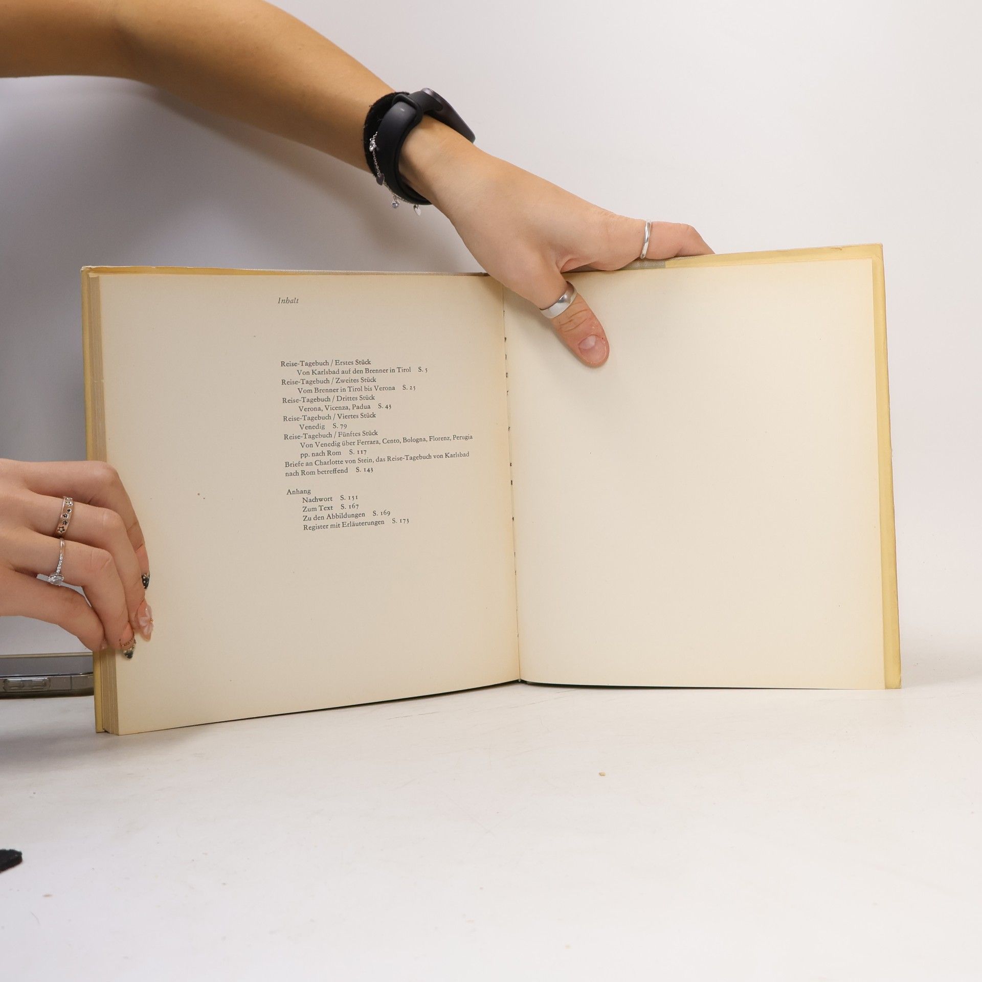 Johann Wolfgang von Goethe Reise-Tagebuch von Karlsbad Nach Rom 1786