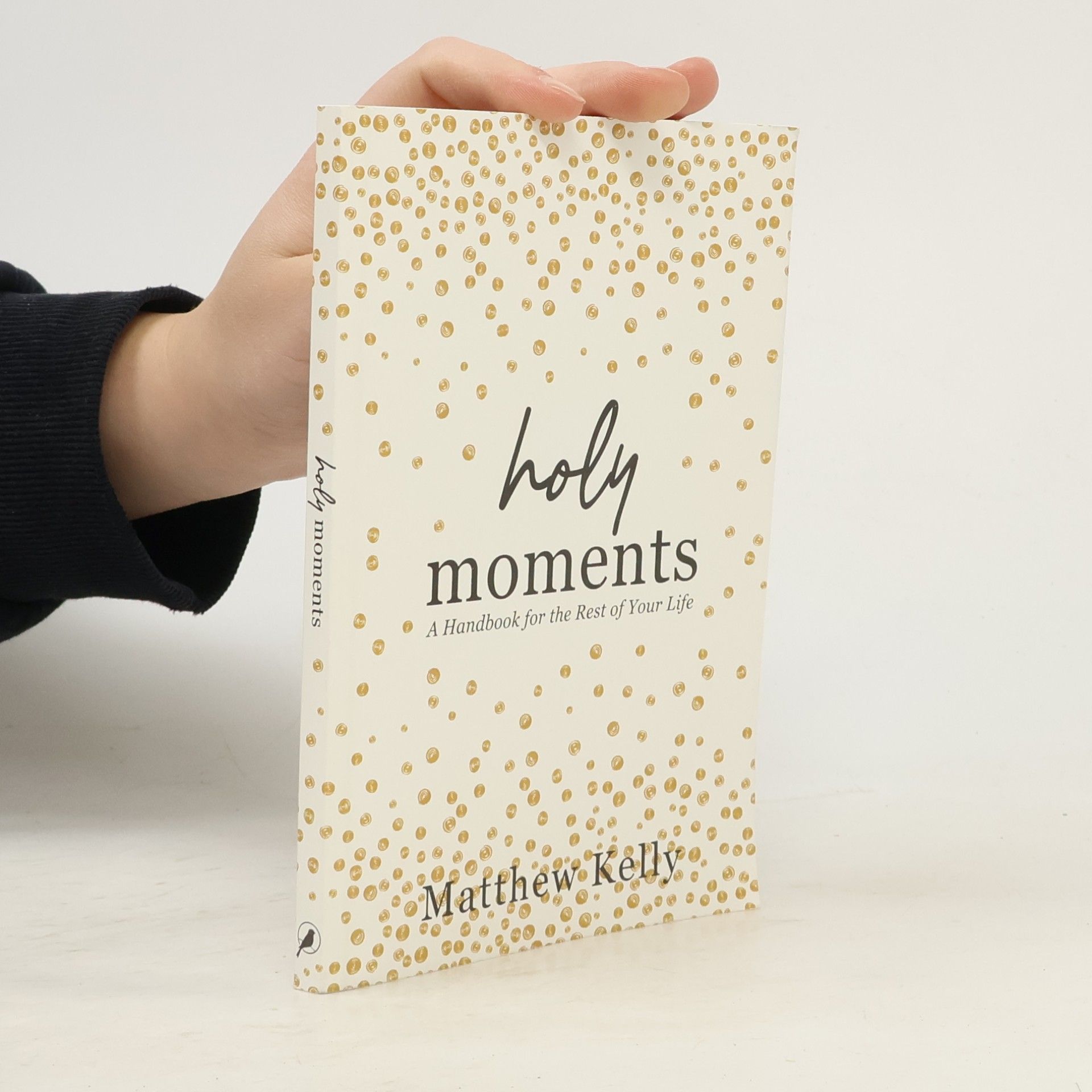 Matthew Kelly Holy Moments