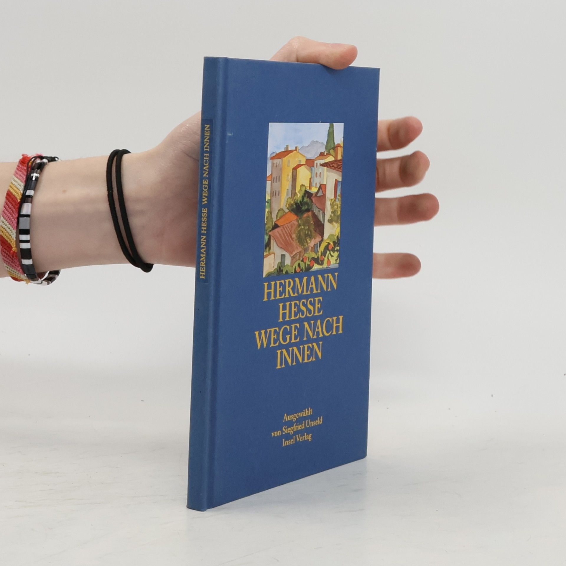 Hermann Hesse Wege nach innen